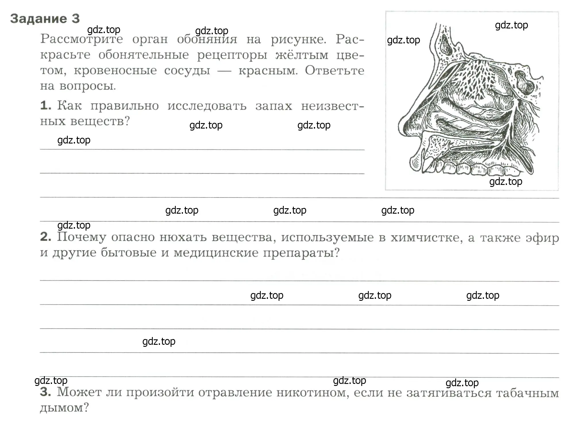 Условие  Задание 3 (страница 45) гдз по биологии 9 класс Драгомилов, Маш, рабочая тетрадь 1 часть