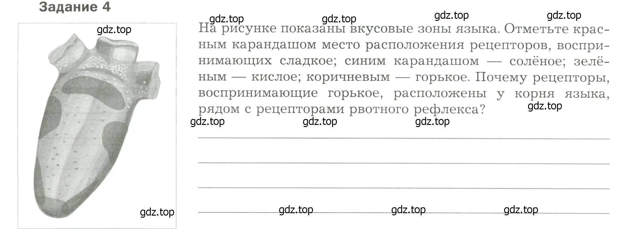 Условие  Задание 4 (страница 46) гдз по биологии 9 класс Драгомилов, Маш, рабочая тетрадь 1 часть