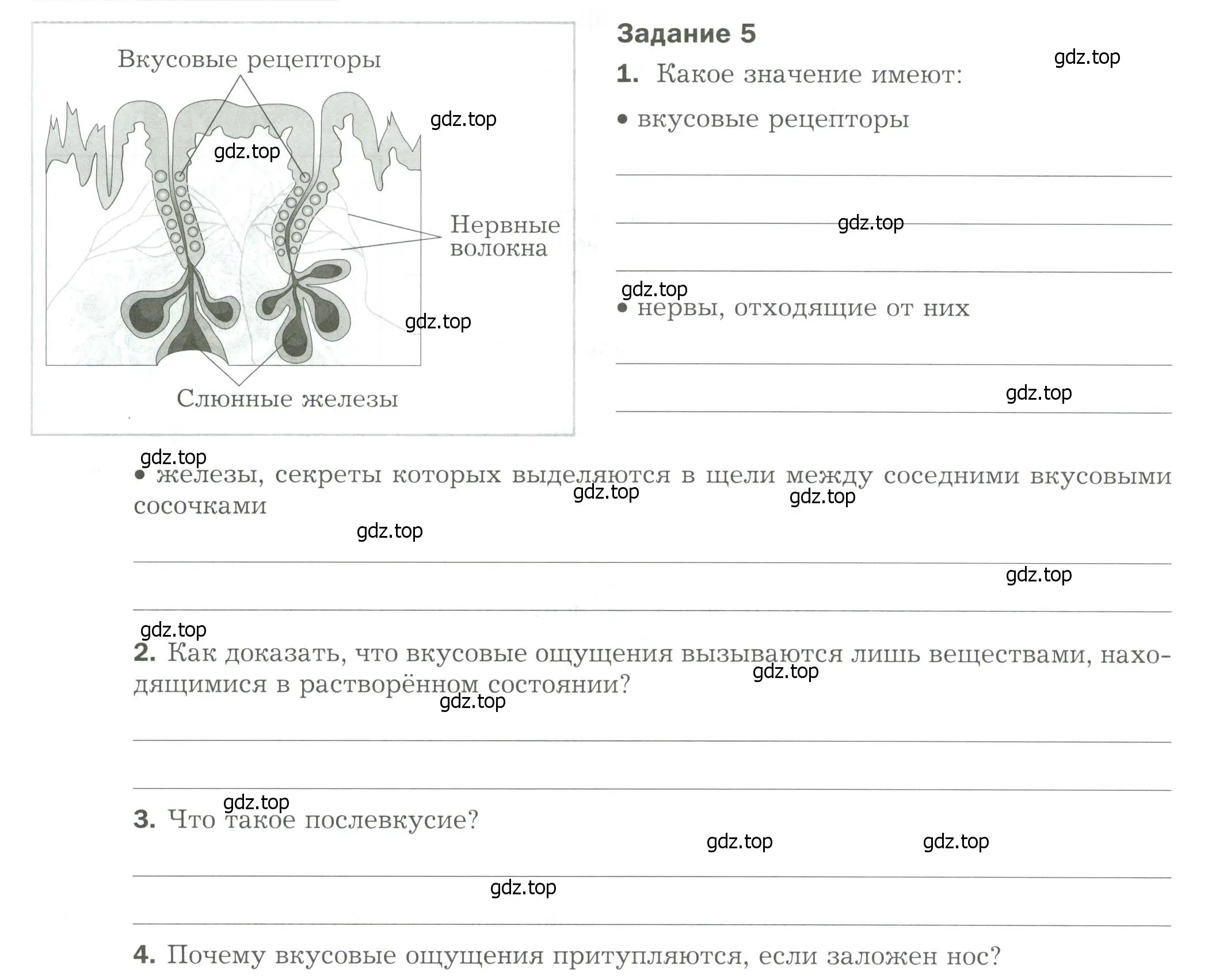 Условие  Задание 5 (страница 46) гдз по биологии 9 класс Драгомилов, Маш, рабочая тетрадь 1 часть