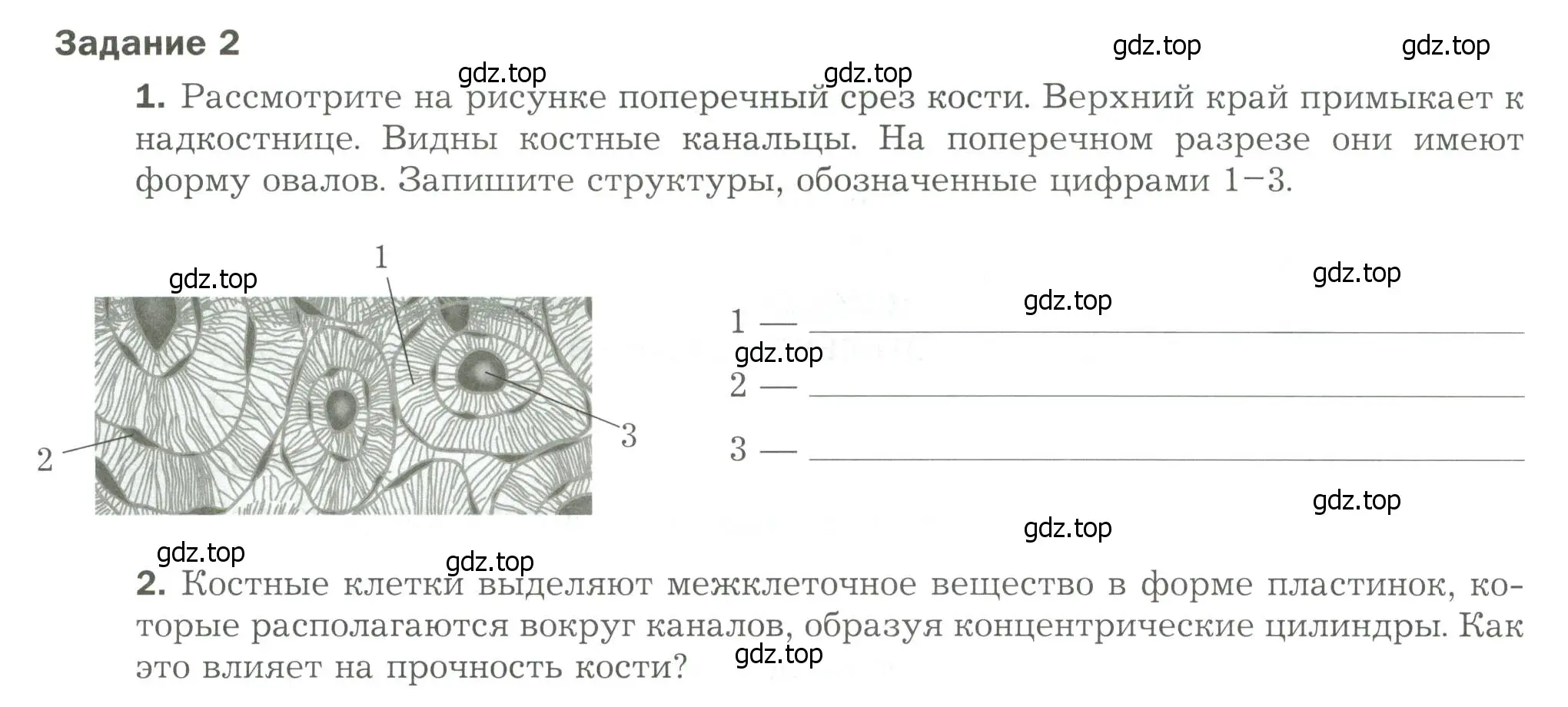 Условие  Задание 2 (страница 50) гдз по биологии 9 класс Драгомилов, Маш, рабочая тетрадь 1 часть