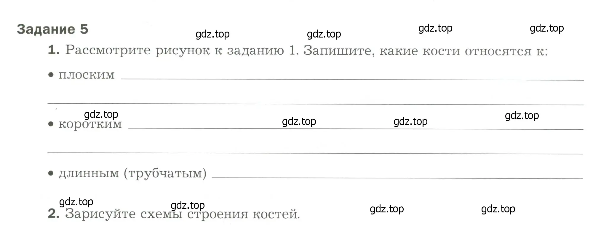 Условие  Задание 5 (страница 51) гдз по биологии 9 класс Драгомилов, Маш, рабочая тетрадь 1 часть