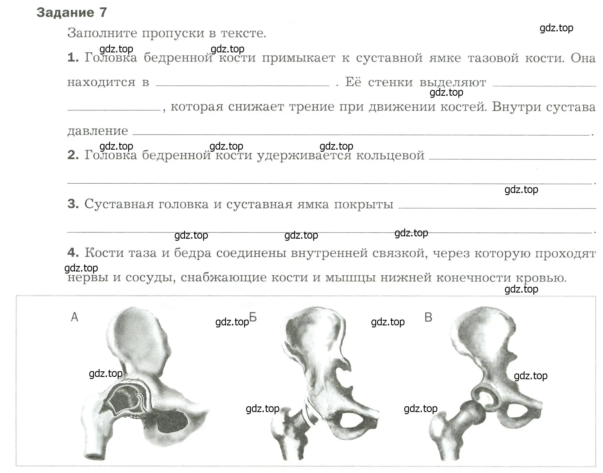 Условие Задание 7 (страница 52) гдз по биологии 9 класс Драгомилов, Маш, рабочая тетрадь 1 часть