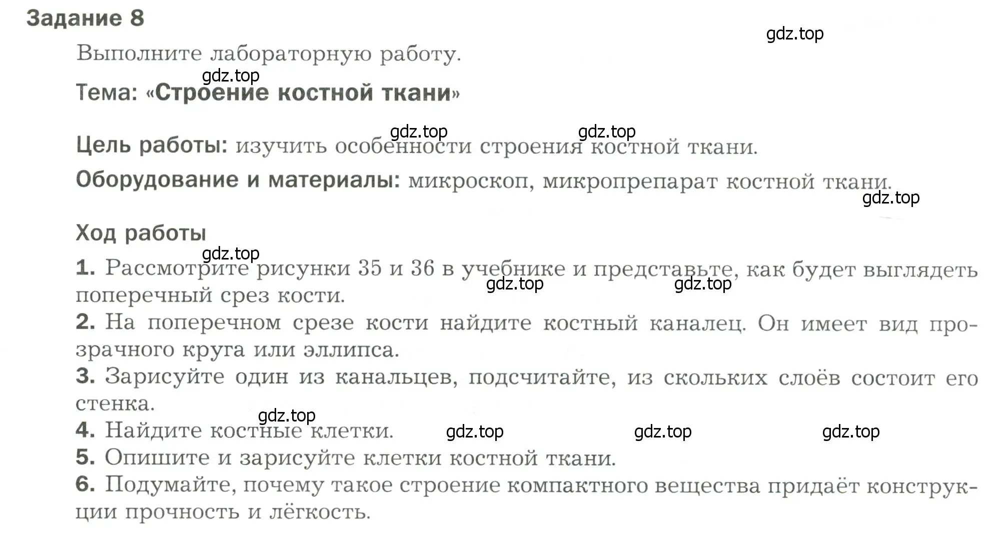 Условие  Задание 8 (страница 53) гдз по биологии 9 класс Драгомилов, Маш, рабочая тетрадь 1 часть