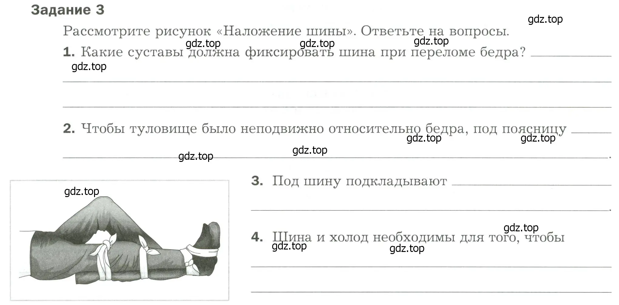 Условие  Задание 3 (страница 60) гдз по биологии 9 класс Драгомилов, Маш, рабочая тетрадь 1 часть