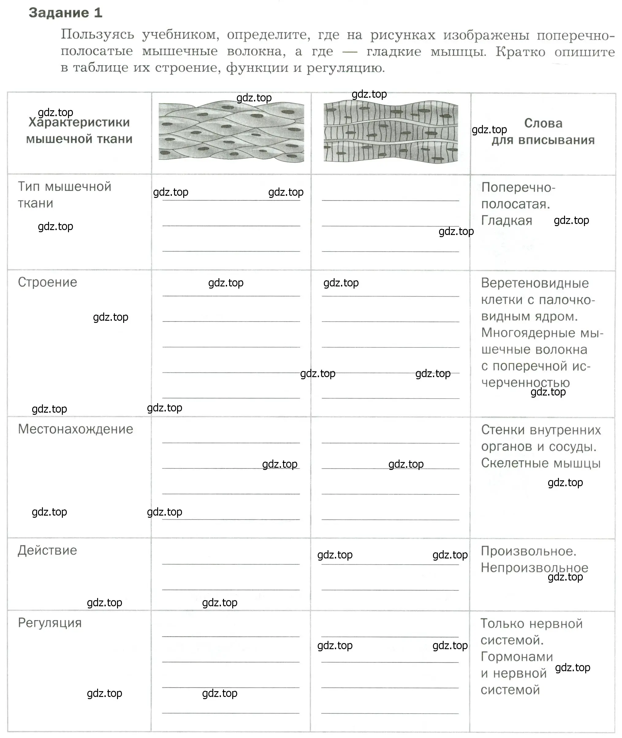 Условие  Задание 1 (страница 61) гдз по биологии 9 класс Драгомилов, Маш, рабочая тетрадь 1 часть