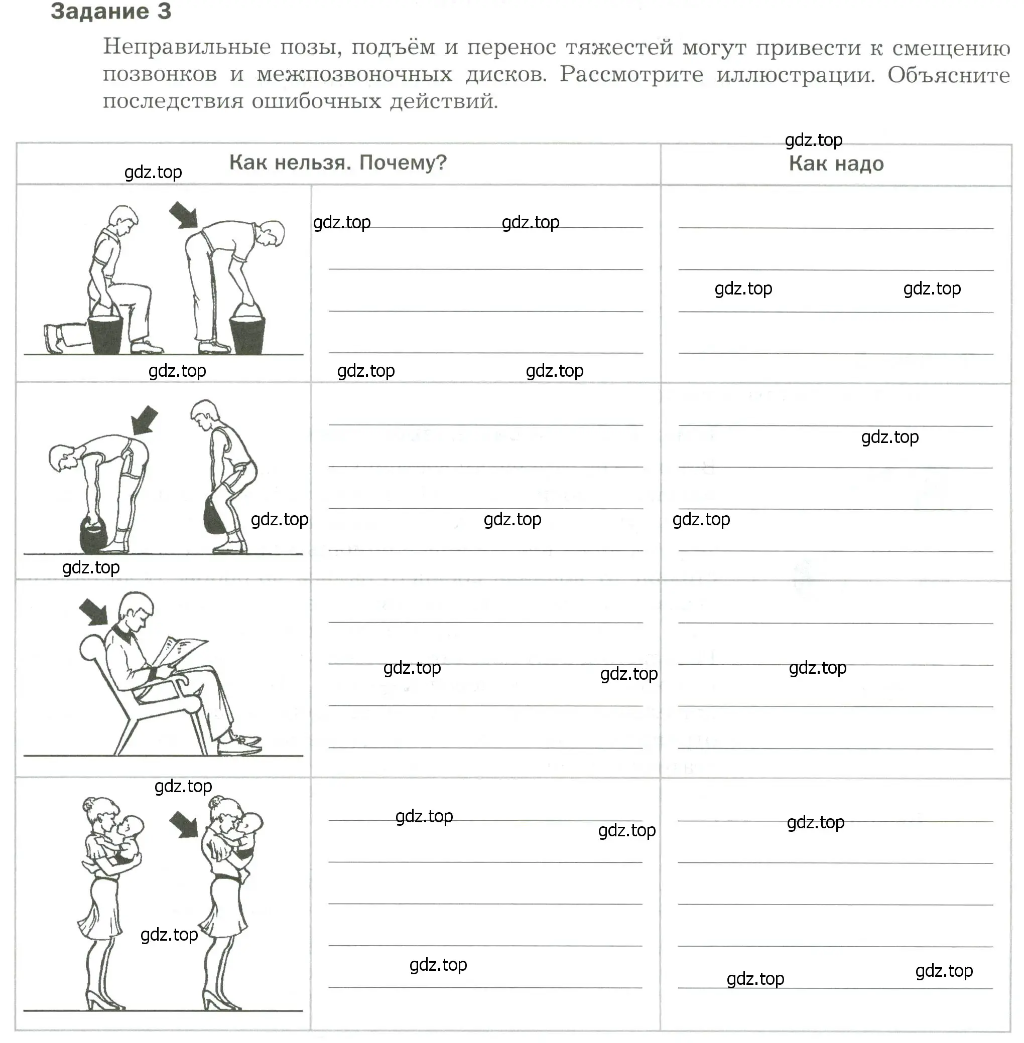 Условие  Задание 3 (страница 67) гдз по биологии 9 класс Драгомилов, Маш, рабочая тетрадь 1 часть