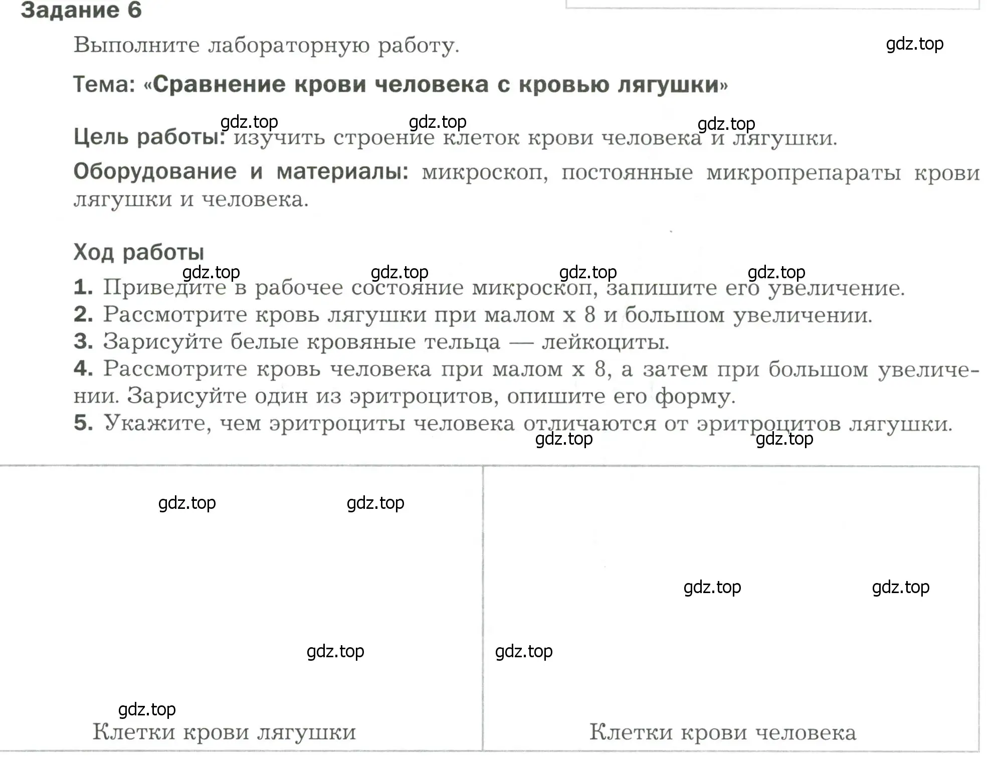 Условие  Задание 6 (страница 77) гдз по биологии 9 класс Драгомилов, Маш, рабочая тетрадь 1 часть