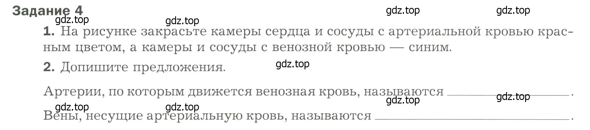 Условие  Задание 4 (страница 82) гдз по биологии 9 класс Драгомилов, Маш, рабочая тетрадь 1 часть