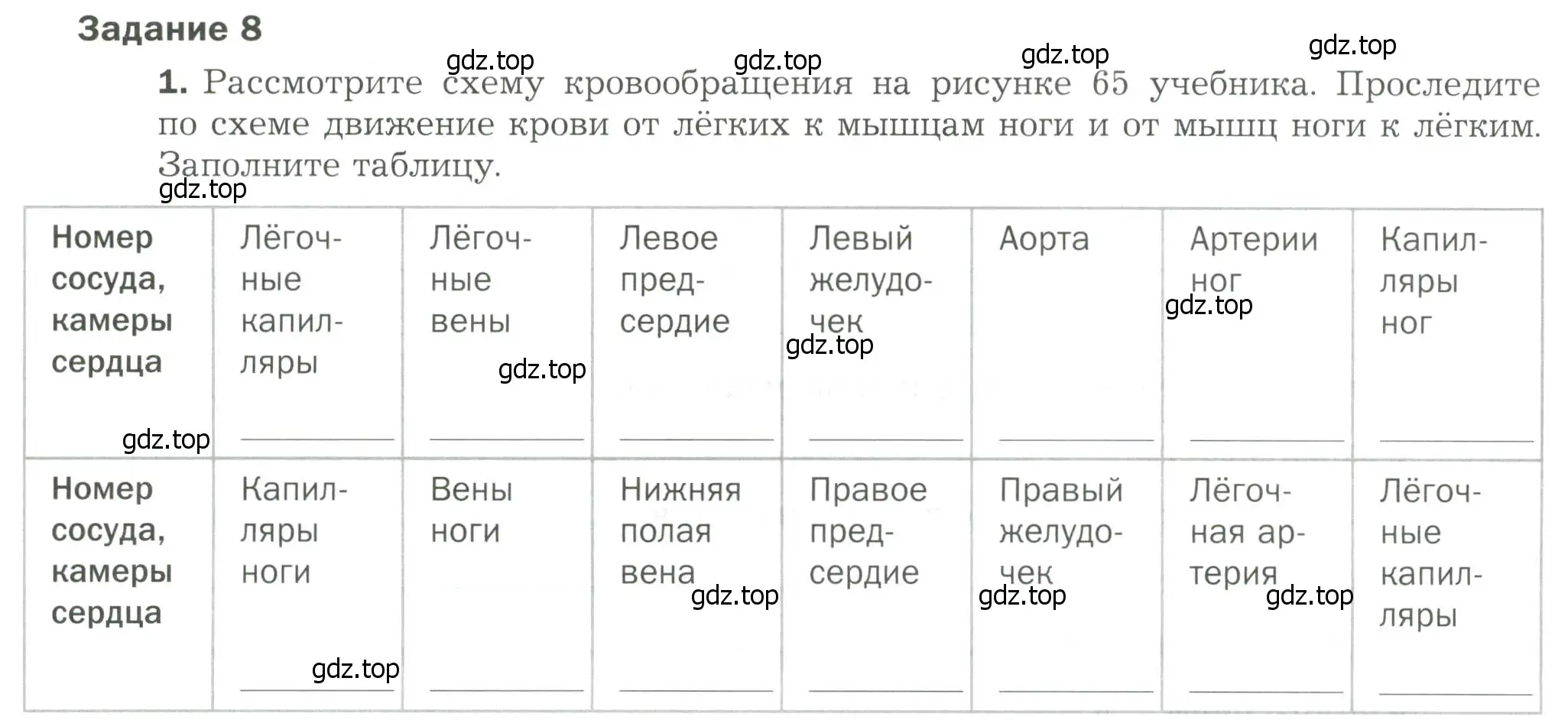 Условие  Задание 8 (страница 83) гдз по биологии 9 класс Драгомилов, Маш, рабочая тетрадь 1 часть