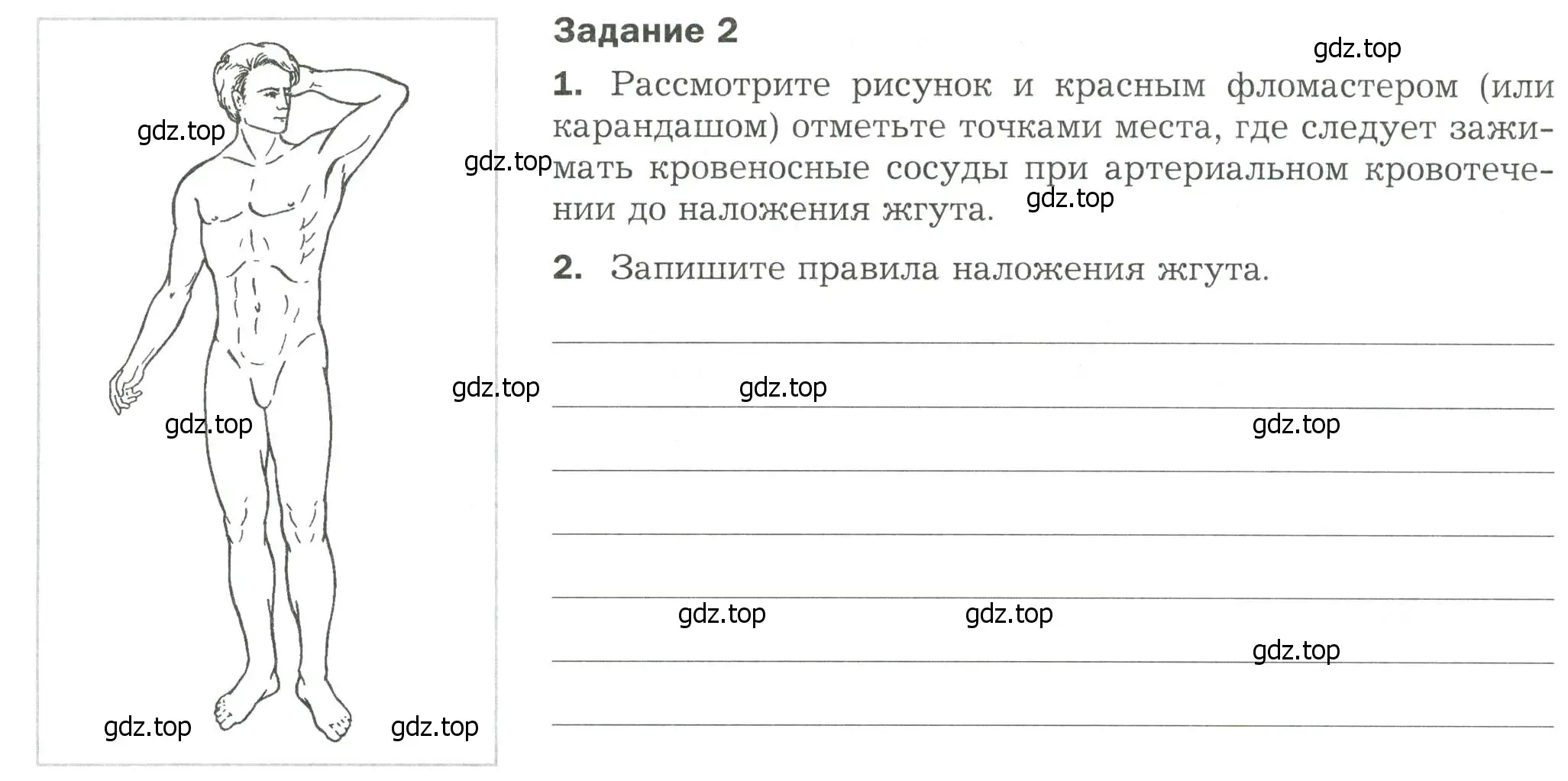 Условие  Задание 2 (страница 92) гдз по биологии 9 класс Драгомилов, Маш, рабочая тетрадь 1 часть