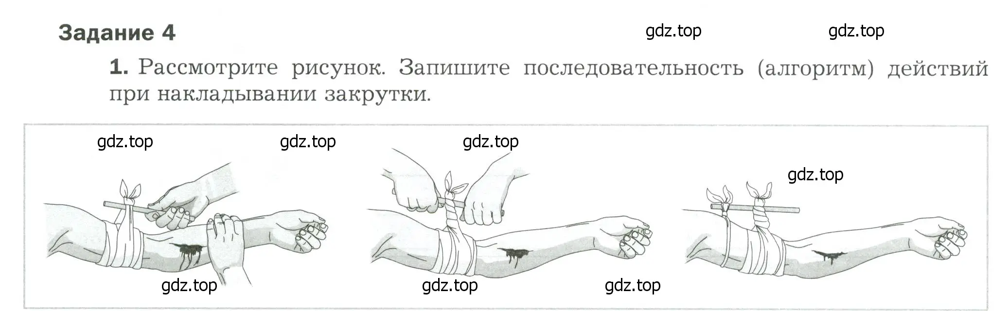 Условие  Задание 4 (страница 92) гдз по биологии 9 класс Драгомилов, Маш, рабочая тетрадь 1 часть