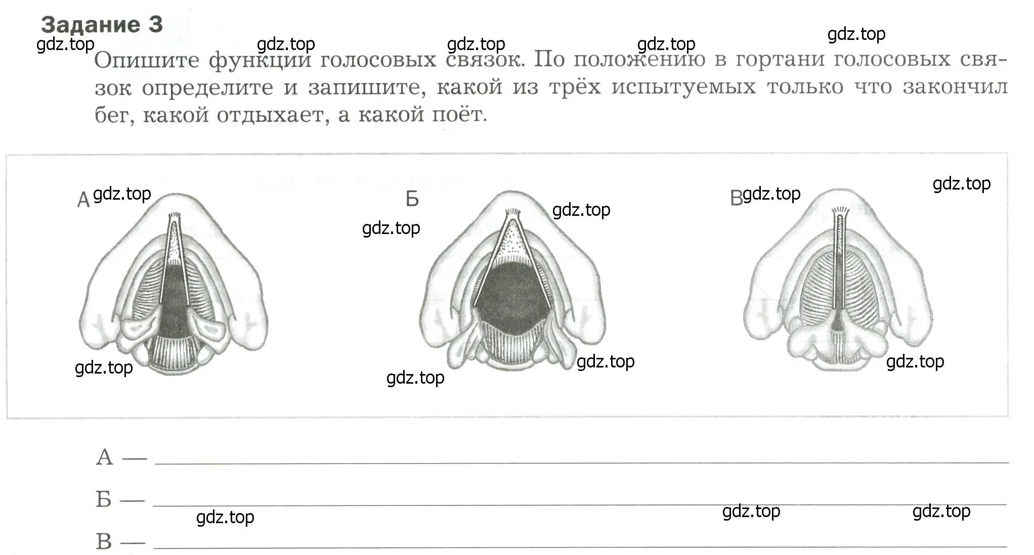 Условие  Задание 3 (страница 4) гдз по биологии 9 класс Драгомилов, Маш, рабочая тетрадь 2 часть