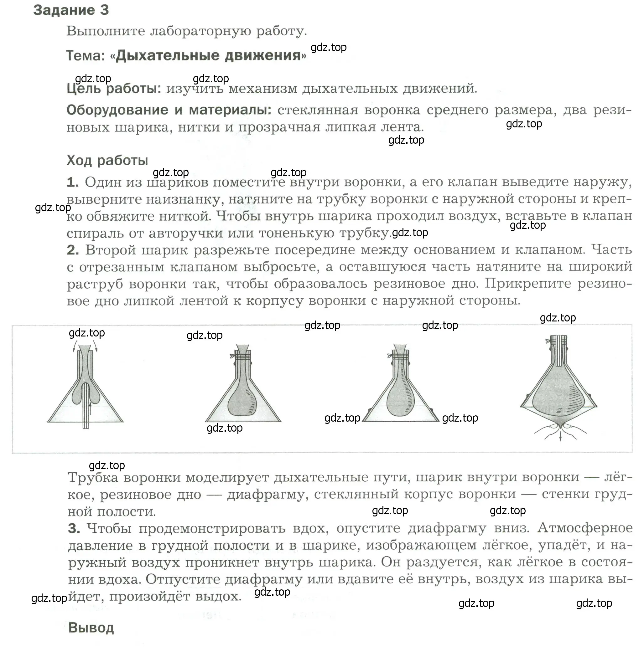 Условие  Задание 3 (страница 8) гдз по биологии 9 класс Драгомилов, Маш, рабочая тетрадь 2 часть