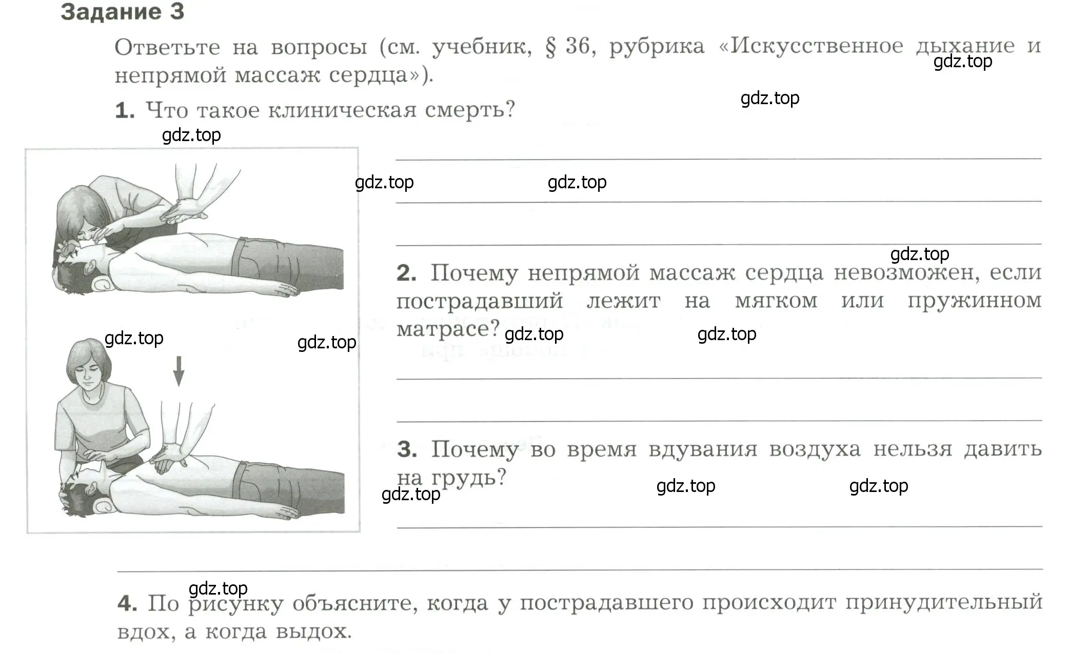 Условие  Задание 3 (страница 14) гдз по биологии 9 класс Драгомилов, Маш, рабочая тетрадь 2 часть