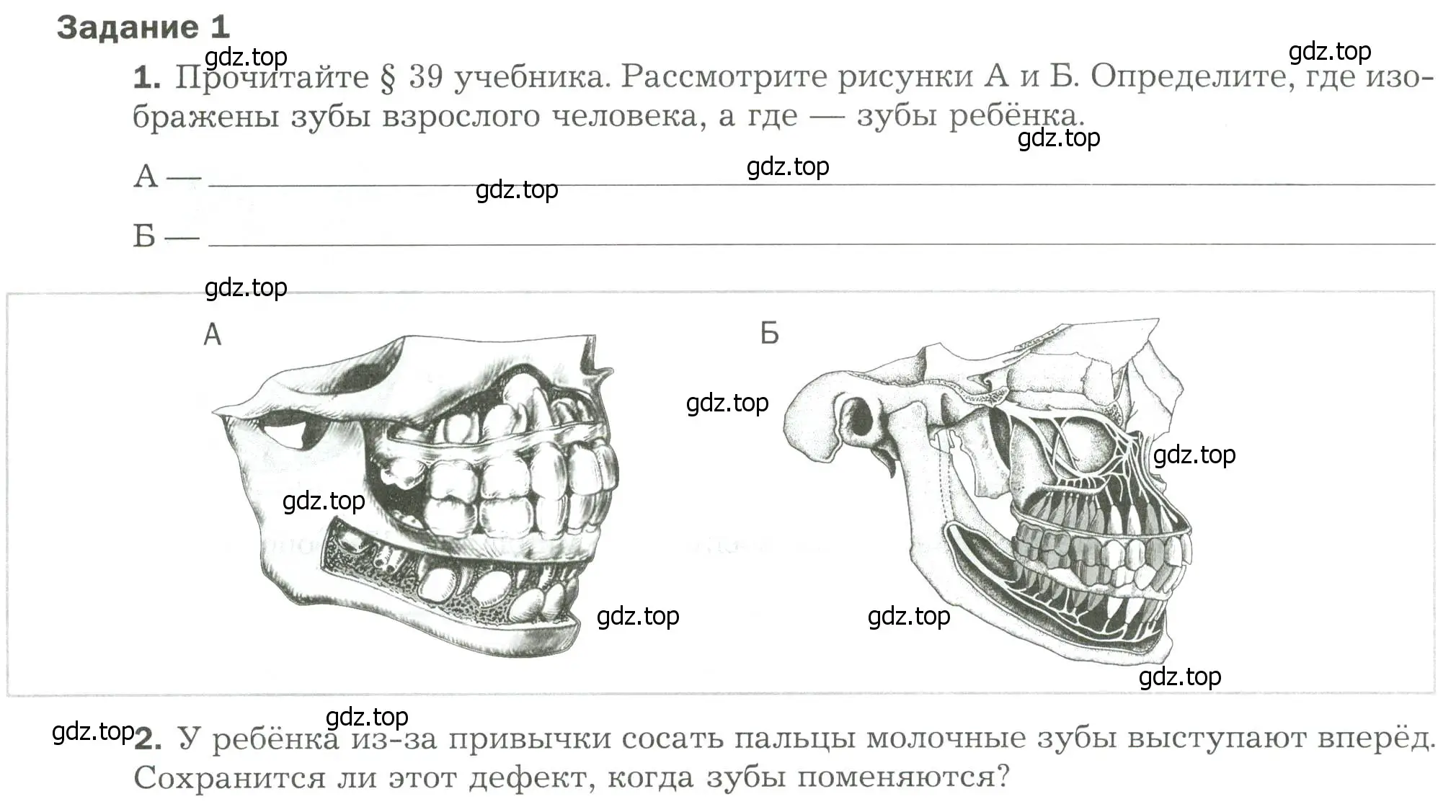 Условие  Задание 1 (страница 20) гдз по биологии 9 класс Драгомилов, Маш, рабочая тетрадь 2 часть