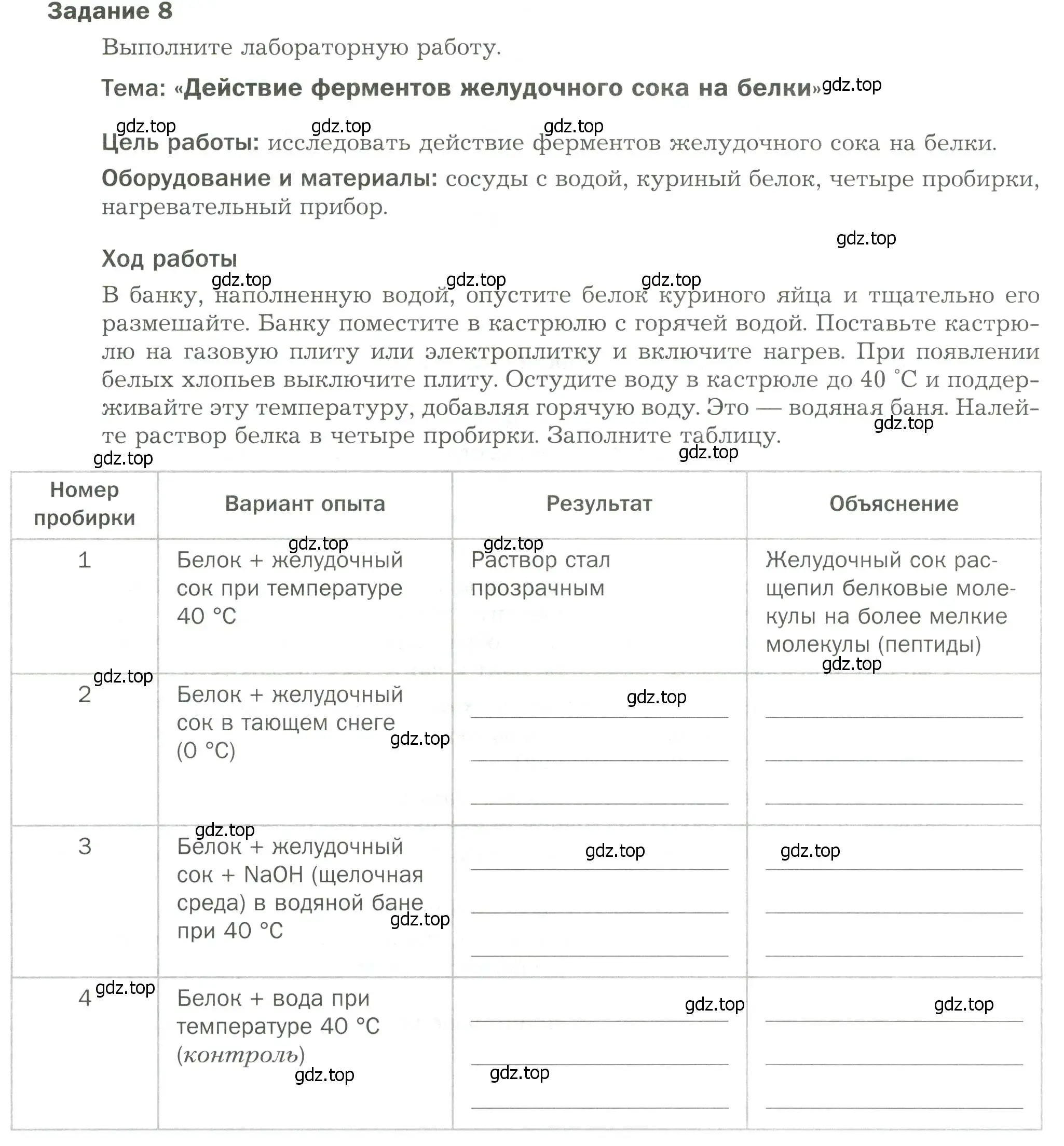 Условие  Задание 8 (страница 24) гдз по биологии 9 класс Драгомилов, Маш, рабочая тетрадь 2 часть