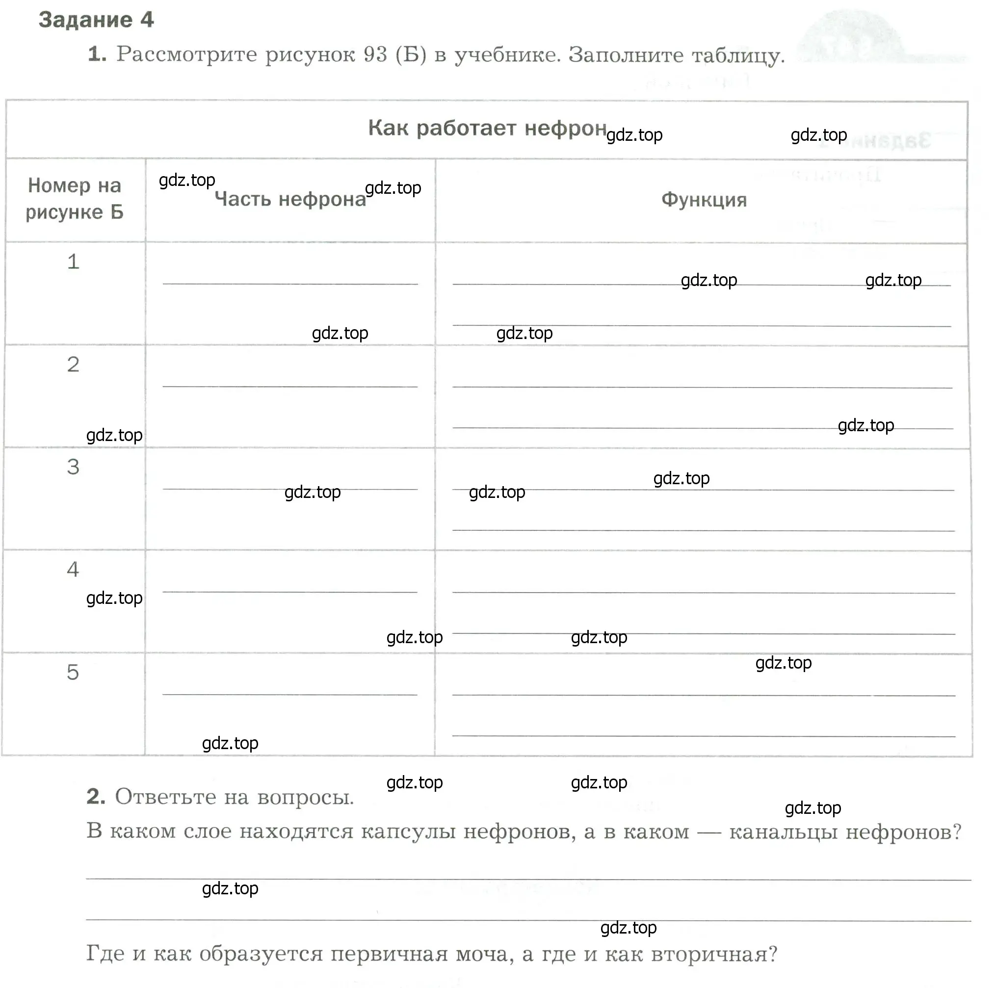 Условие  Задание 4 (страница 45) гдз по биологии 9 класс Драгомилов, Маш, рабочая тетрадь 2 часть