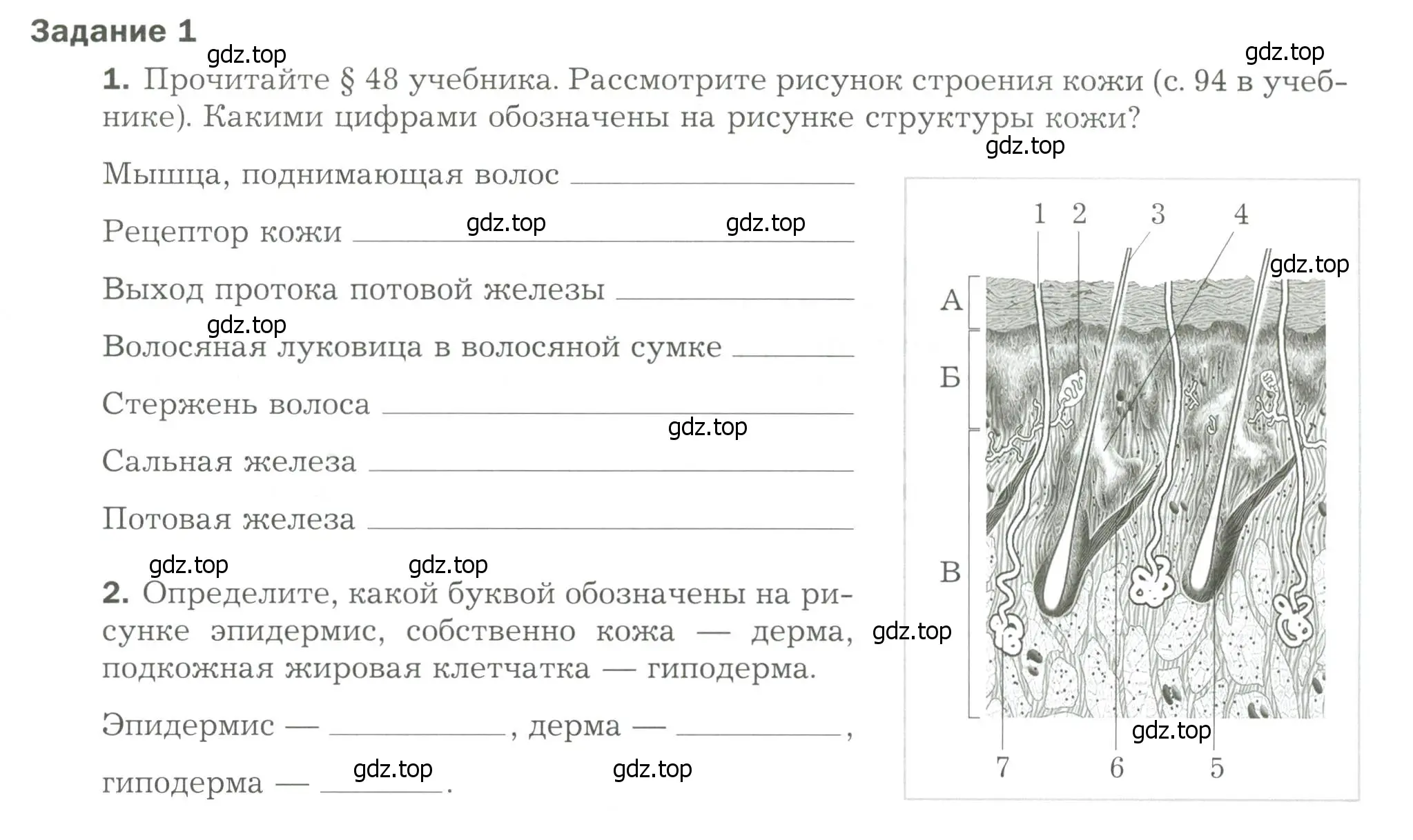 Условие  Задание 1 (страница 47) гдз по биологии 9 класс Драгомилов, Маш, рабочая тетрадь 2 часть