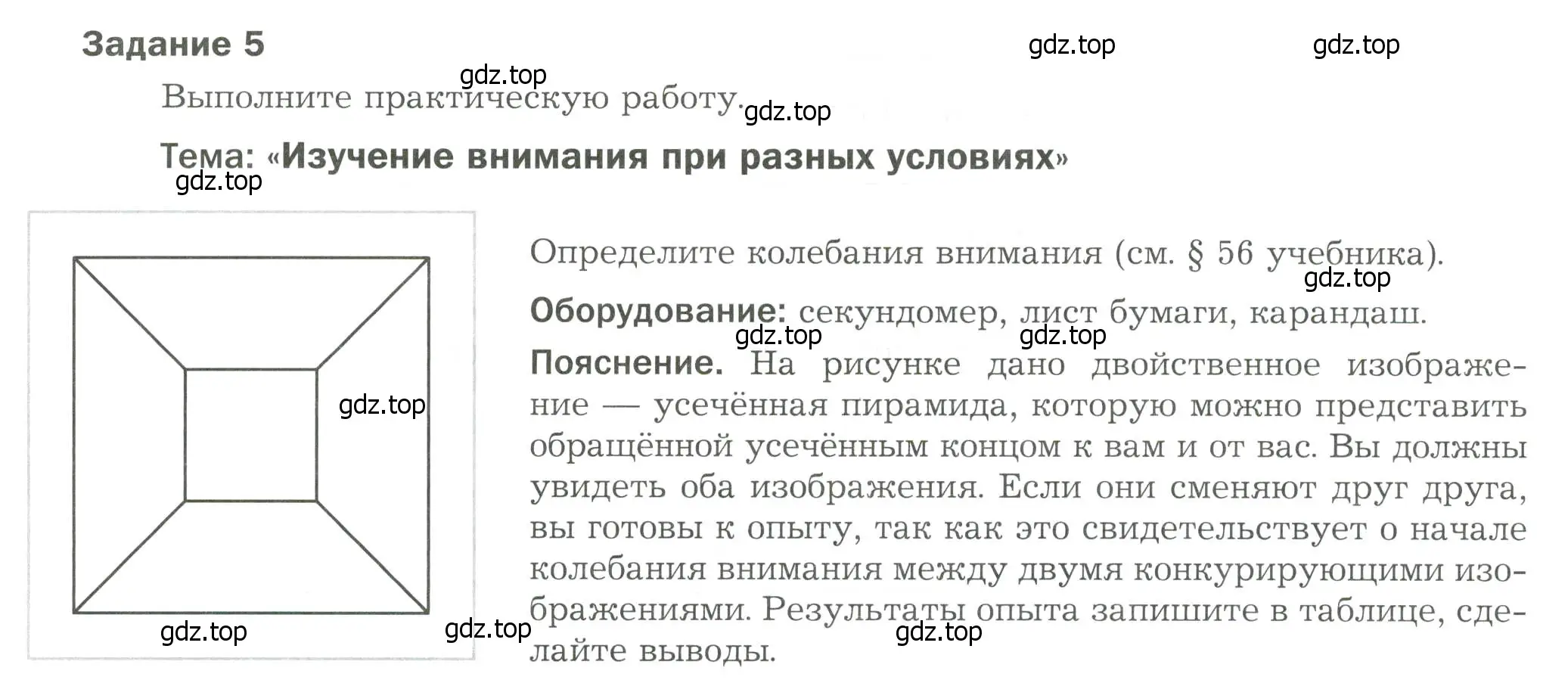 Условие Задание 5 (страница 68) гдз по биологии 9 класс Драгомилов, Маш, рабочая тетрадь 2 часть