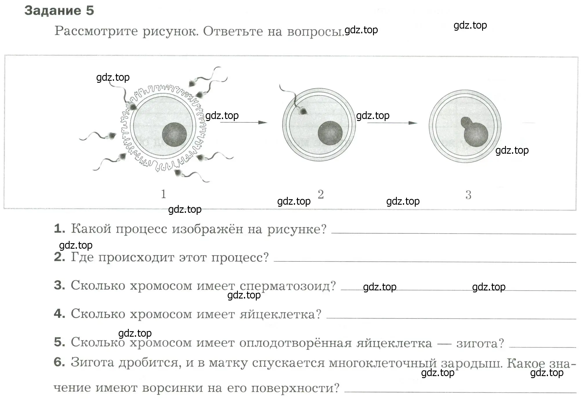 Условие  Задание 5 (страница 73) гдз по биологии 9 класс Драгомилов, Маш, рабочая тетрадь 2 часть