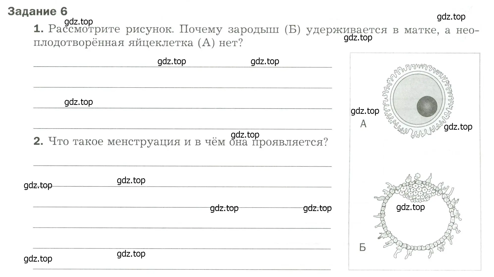 Условие  Задание 6 (страница 73) гдз по биологии 9 класс Драгомилов, Маш, рабочая тетрадь 2 часть