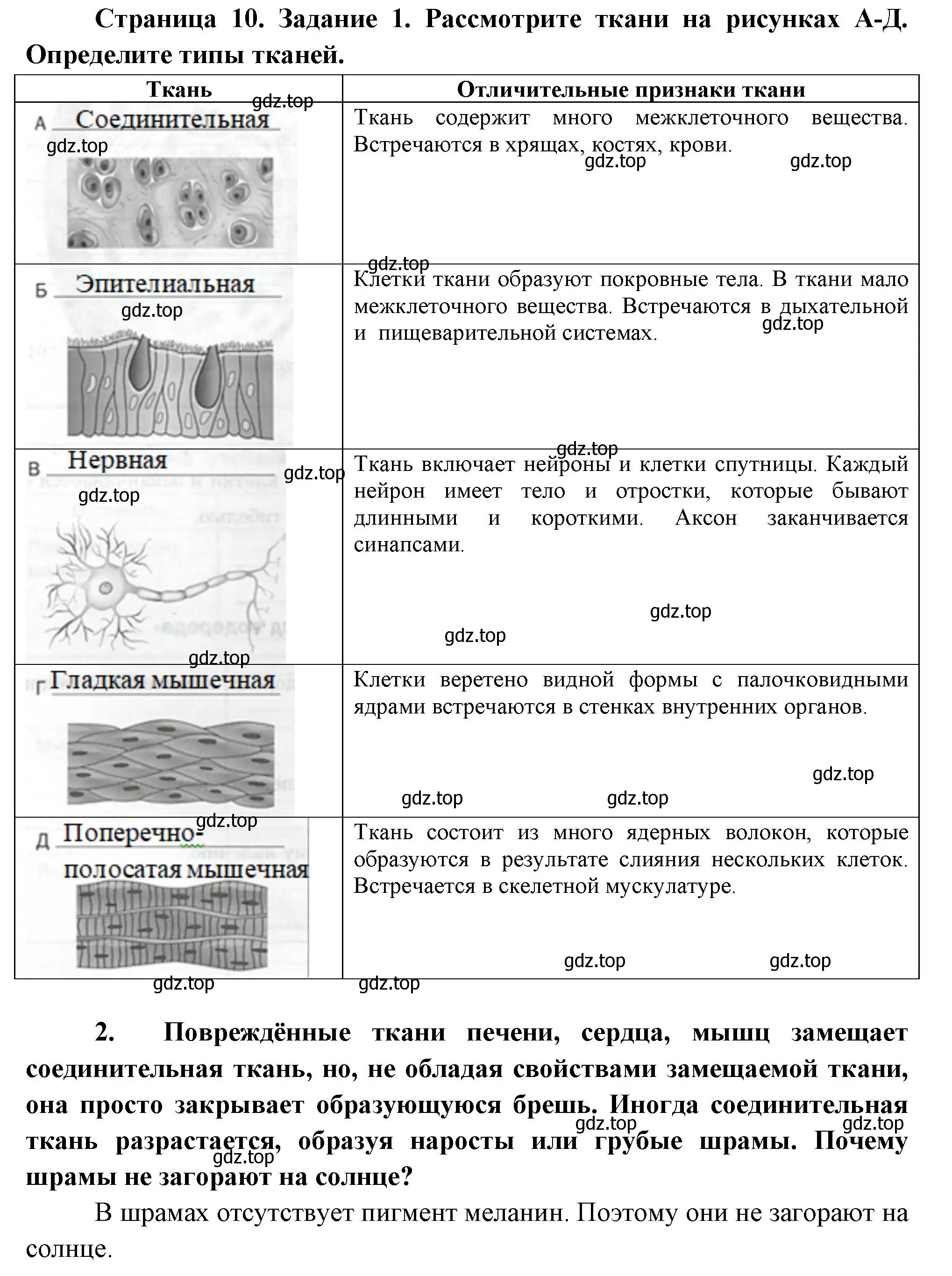 Решение  Задание 1 (страница 10) гдз по биологии 9 класс Драгомилов, Маш, рабочая тетрадь 1 часть