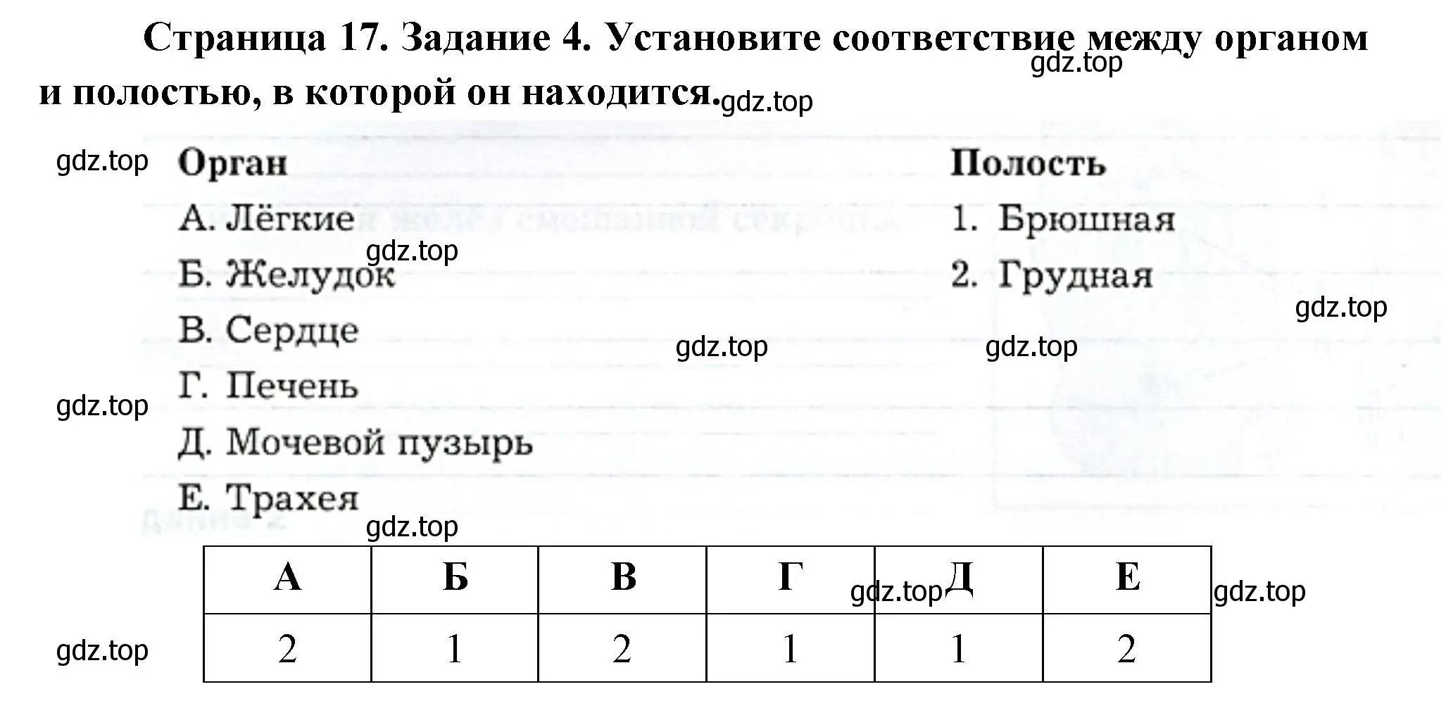 Решение  Задание 4 (страница 17) гдз по биологии 9 класс Драгомилов, Маш, рабочая тетрадь 1 часть