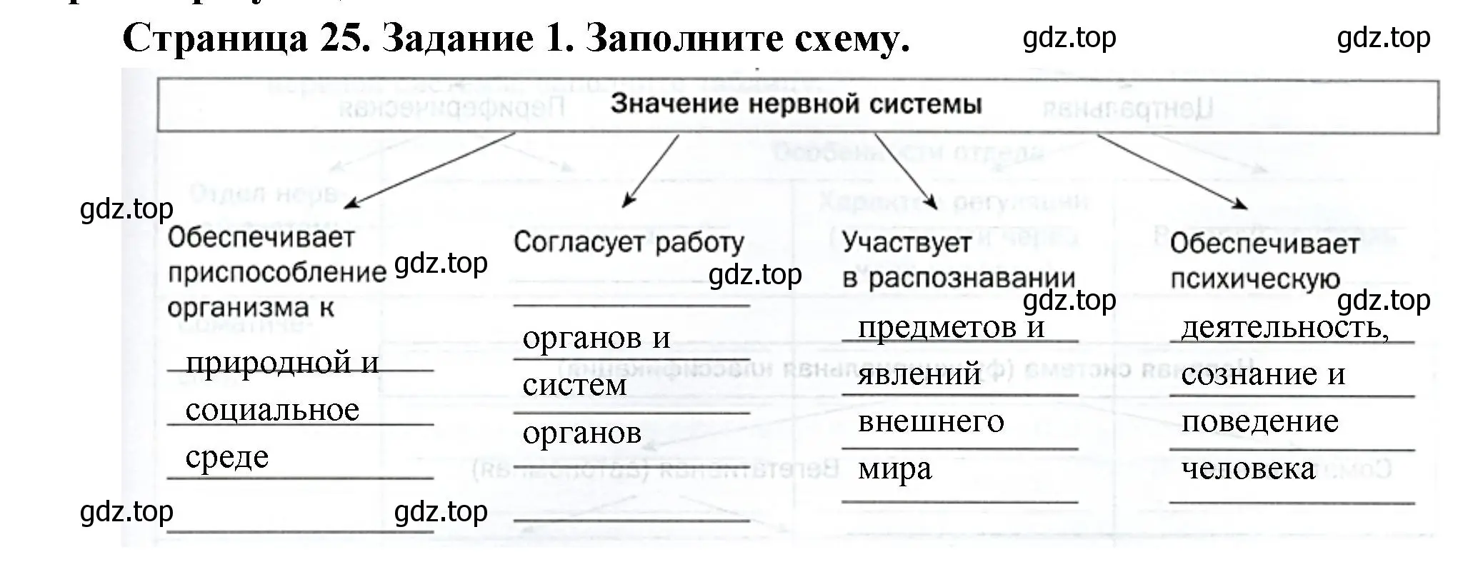 Решение  Задание 1 (страница 25) гдз по биологии 9 класс Драгомилов, Маш, рабочая тетрадь 1 часть