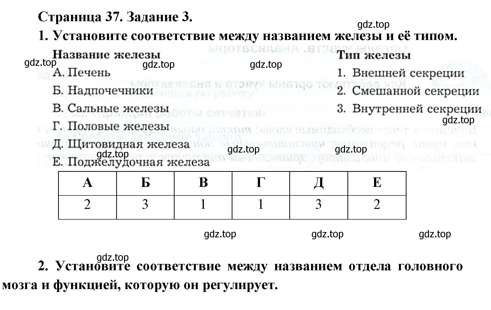 Решение  Задание 3 (страница 37) гдз по биологии 9 класс Драгомилов, Маш, рабочая тетрадь 1 часть