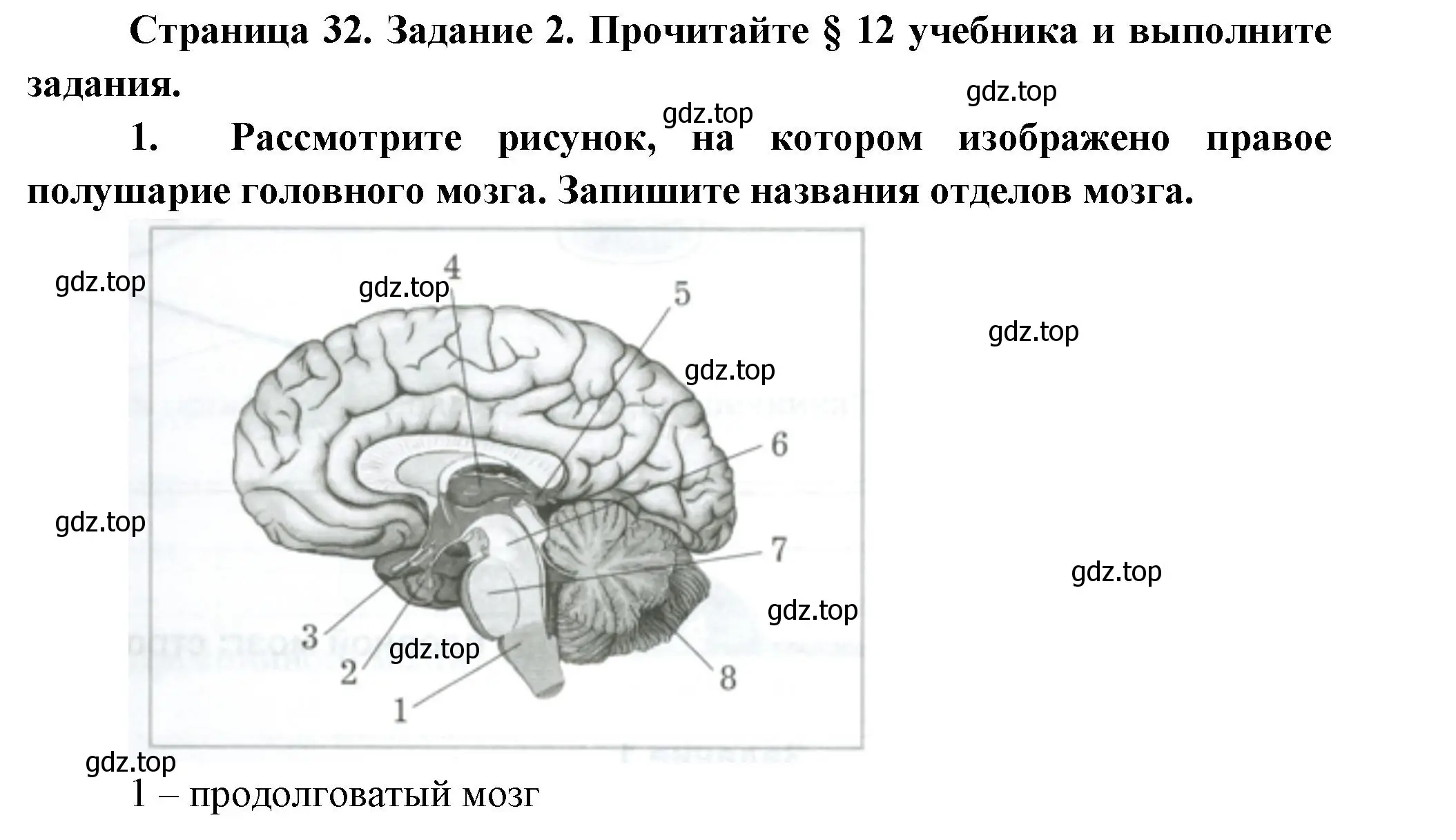 Решение  Задание 2 (страница 32) гдз по биологии 9 класс Драгомилов, Маш, рабочая тетрадь 1 часть