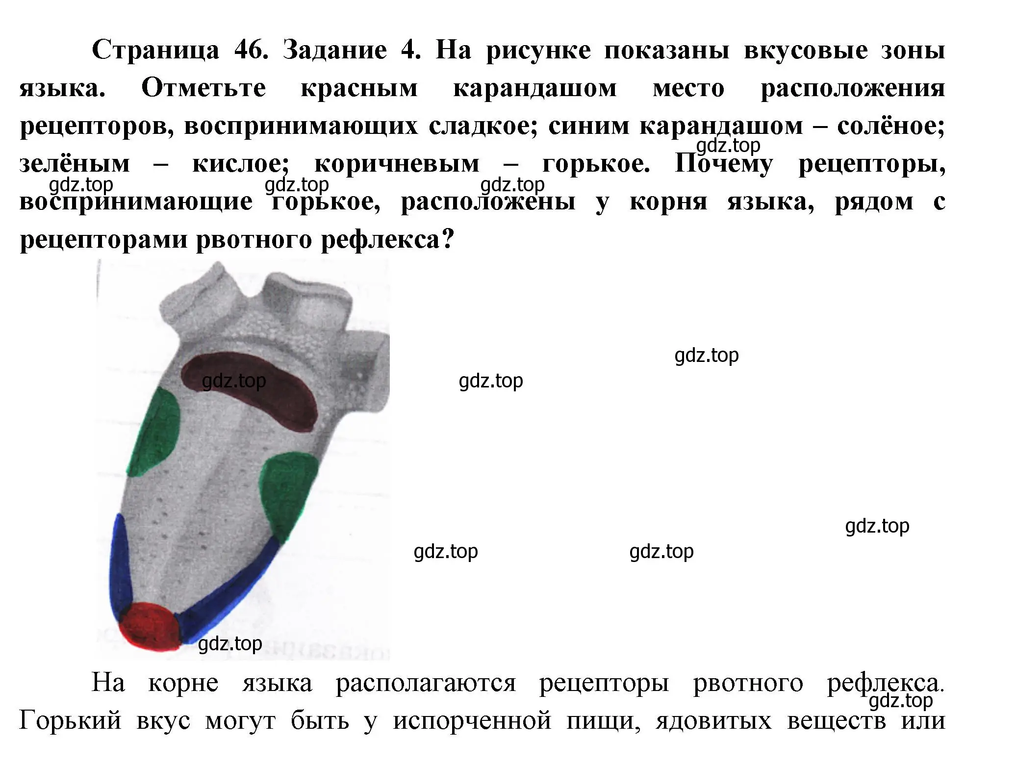 Решение  Задание 4 (страница 46) гдз по биологии 9 класс Драгомилов, Маш, рабочая тетрадь 1 часть