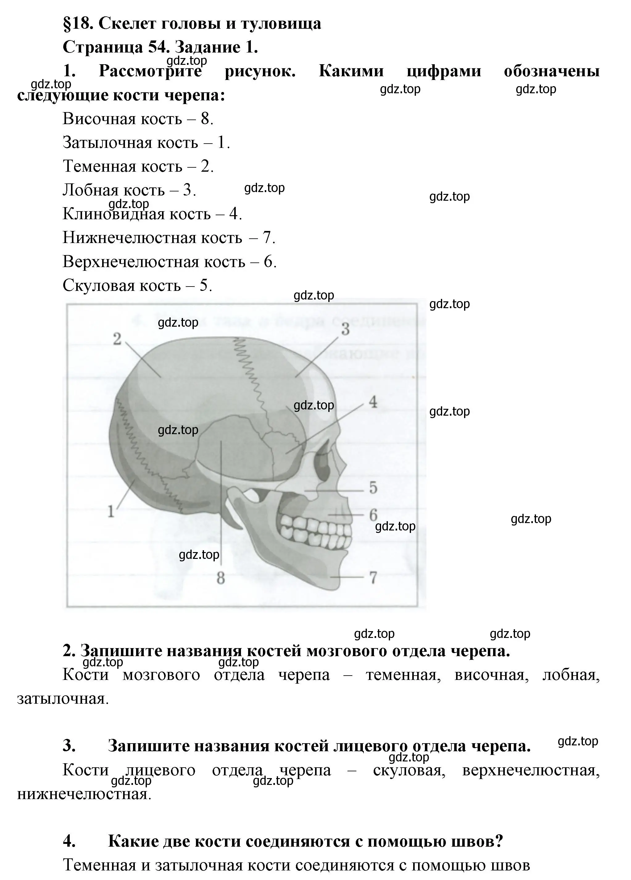 Решение  Задание 1 (страница 54) гдз по биологии 9 класс Драгомилов, Маш, рабочая тетрадь 1 часть