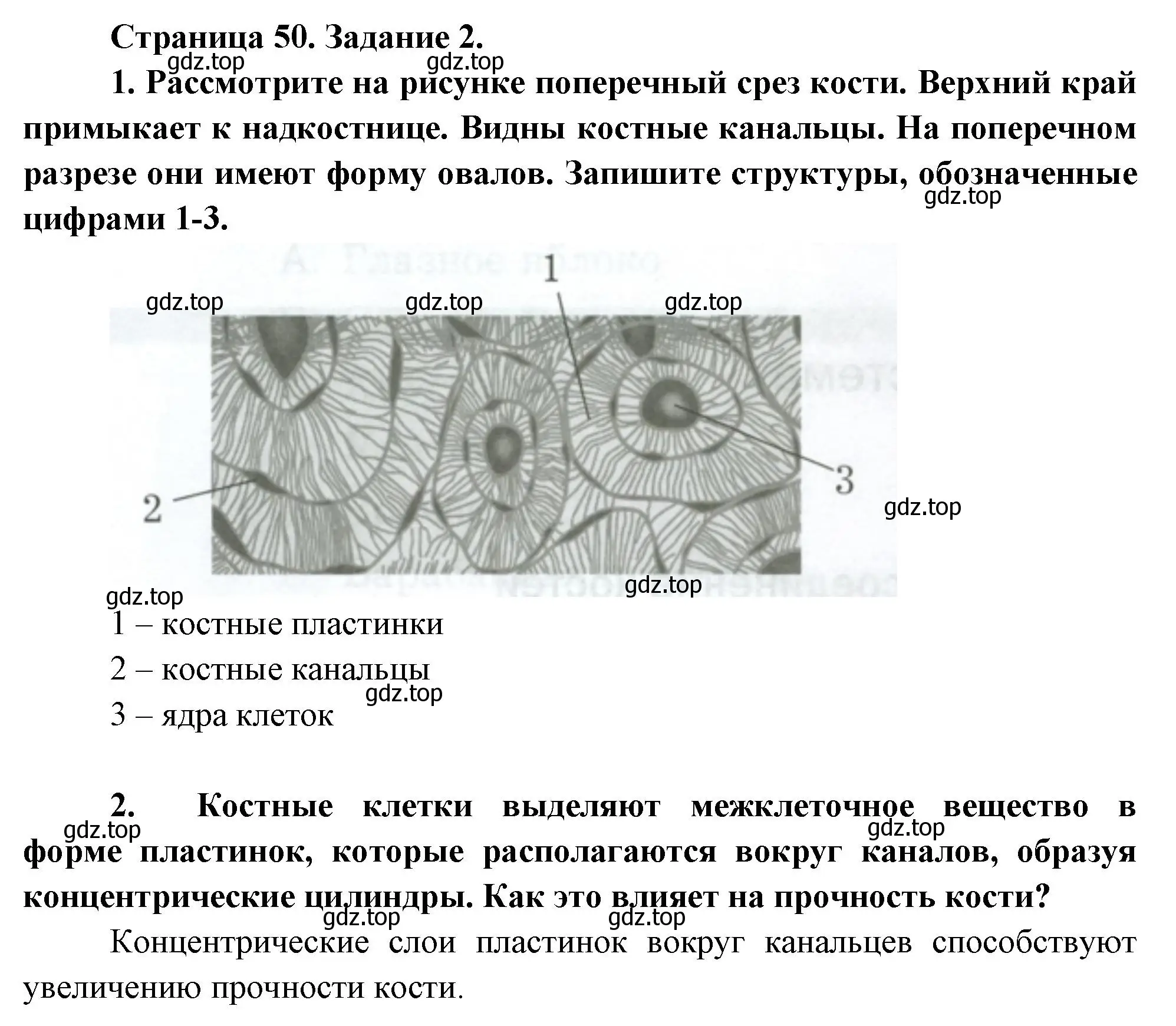 Решение  Задание 2 (страница 50) гдз по биологии 9 класс Драгомилов, Маш, рабочая тетрадь 1 часть