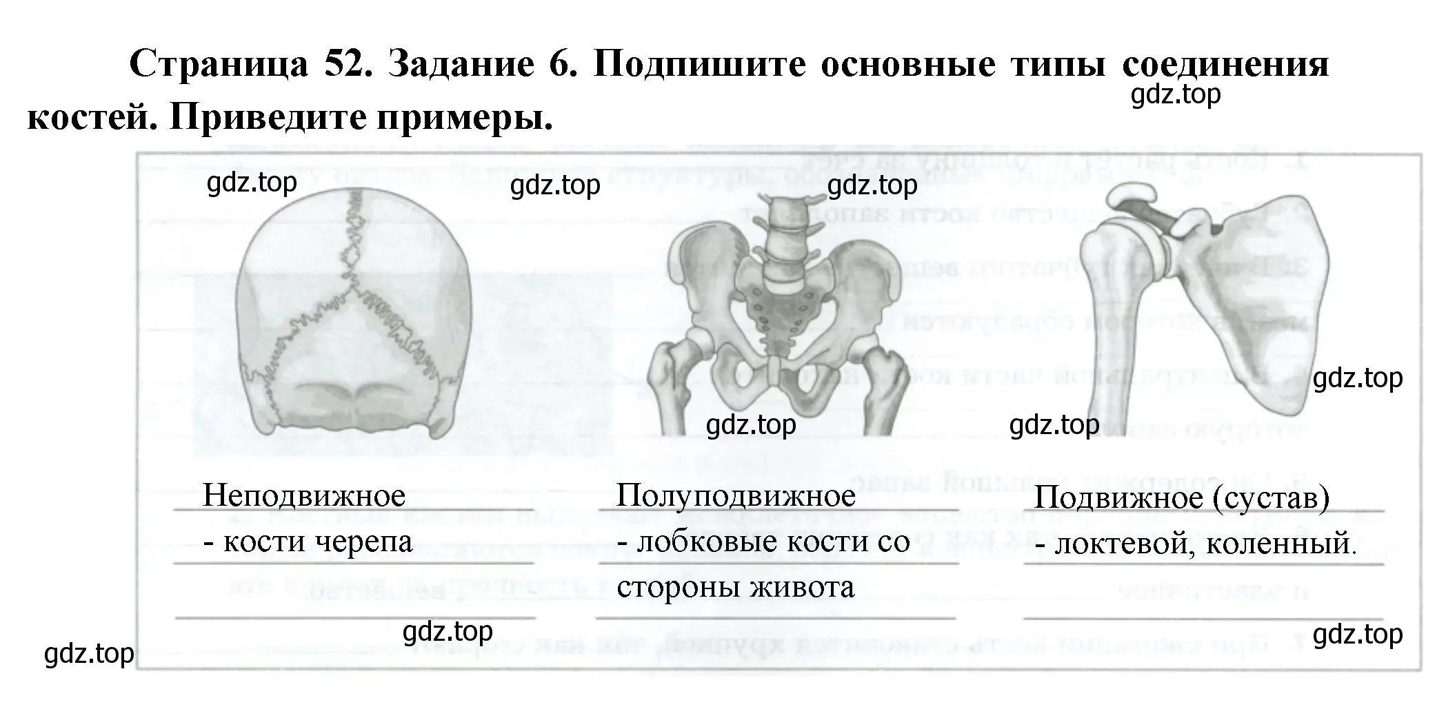 Решение  Задание 6 (страница 52) гдз по биологии 9 класс Драгомилов, Маш, рабочая тетрадь 1 часть