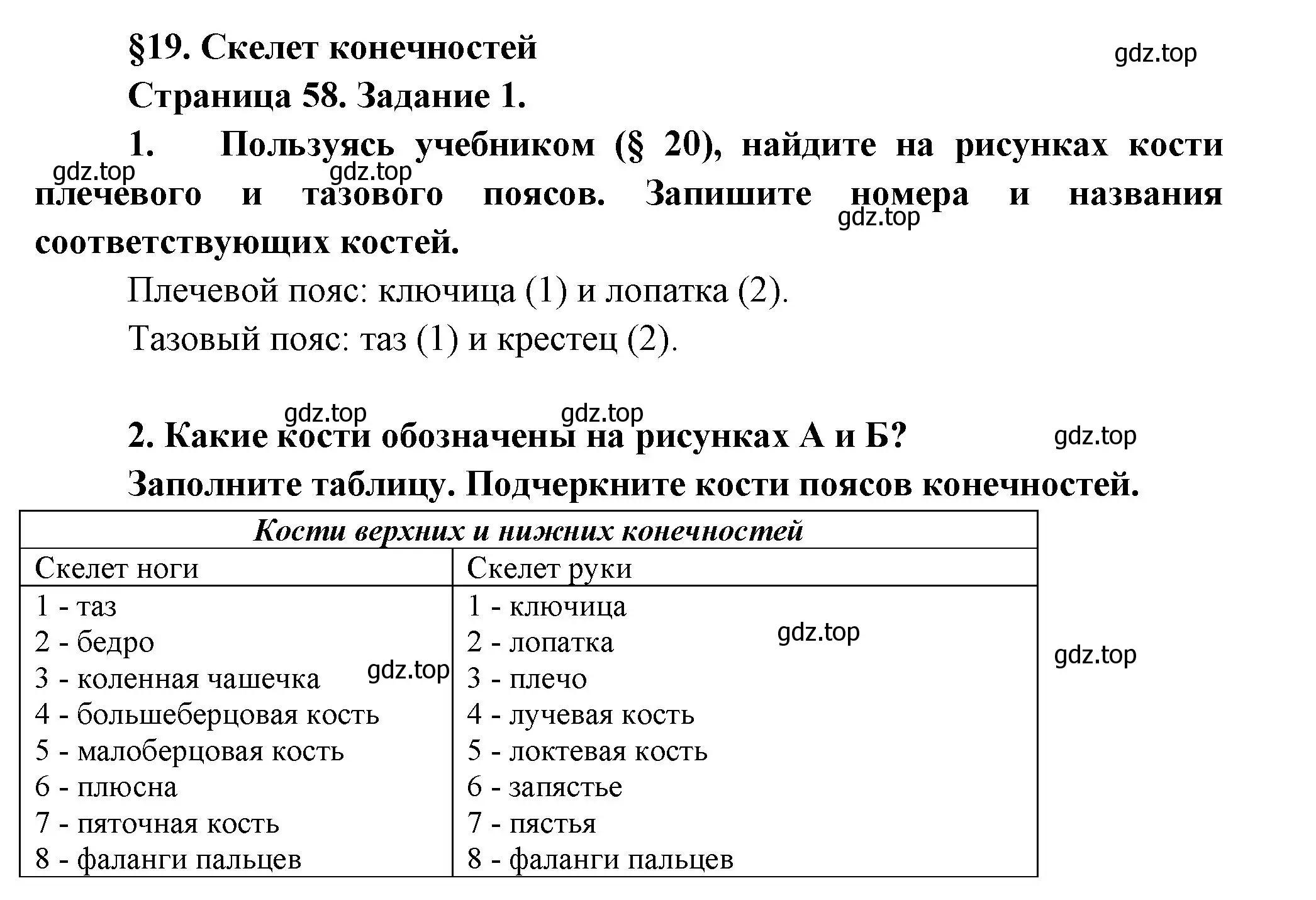 Решение  Задание 1 (страница 58) гдз по биологии 9 класс Драгомилов, Маш, рабочая тетрадь 1 часть