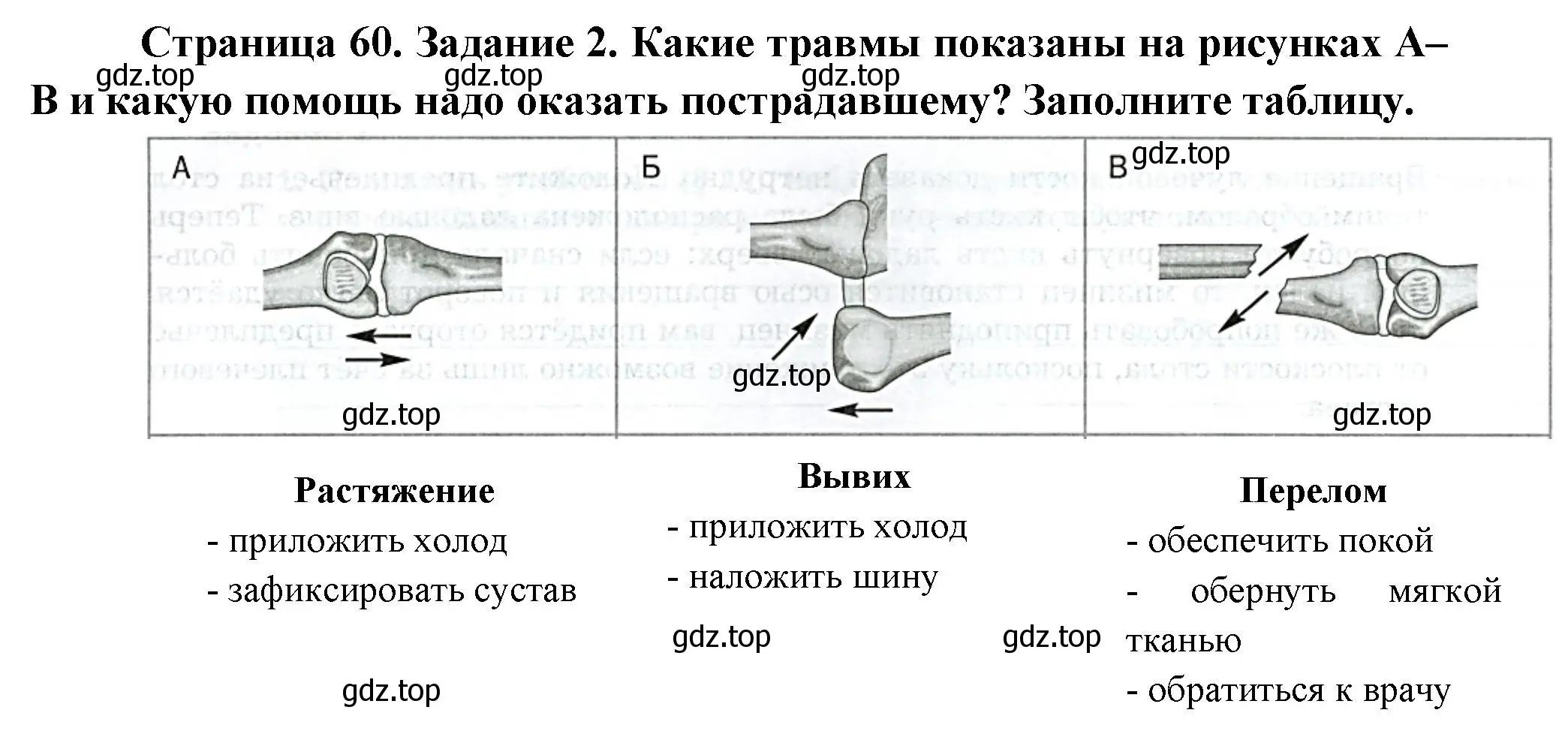 Решение  Задание 2 (страница 60) гдз по биологии 9 класс Драгомилов, Маш, рабочая тетрадь 1 часть