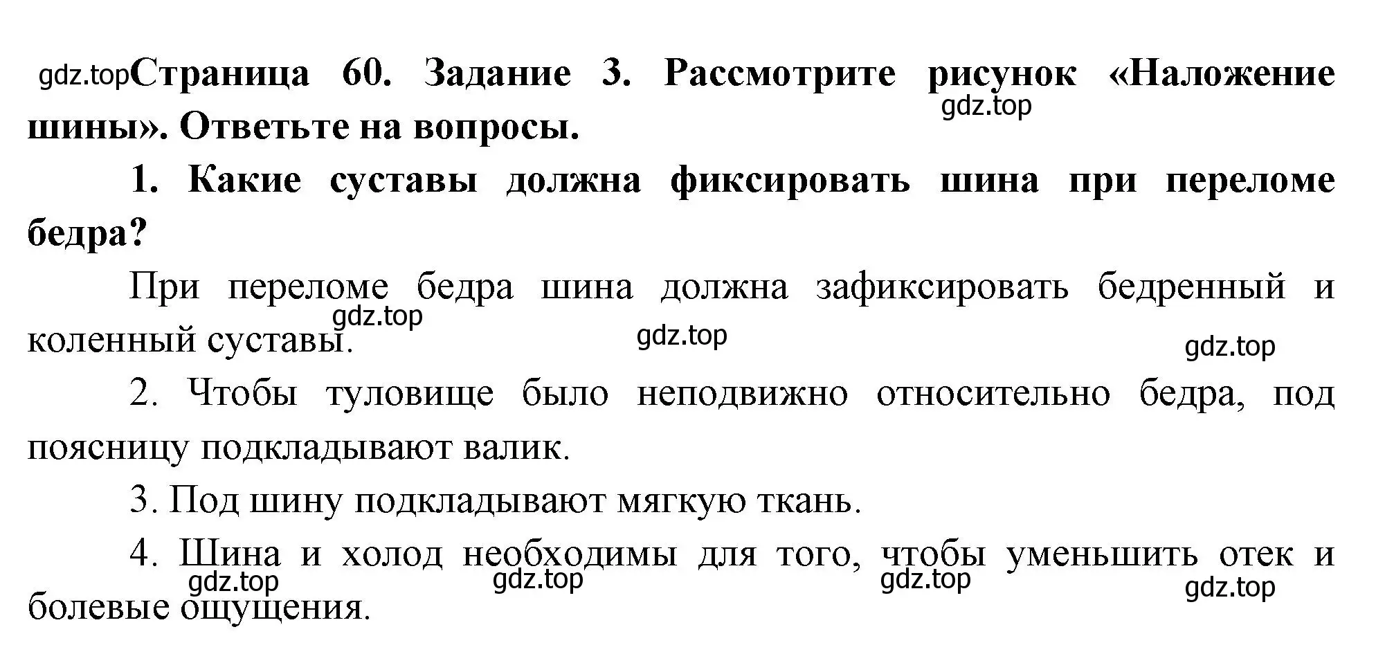 Решение  Задание 3 (страница 60) гдз по биологии 9 класс Драгомилов, Маш, рабочая тетрадь 1 часть