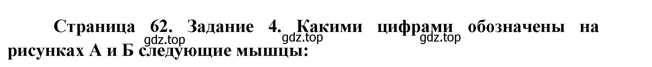 Решение  Задание 4 (страница 62) гдз по биологии 9 класс Драгомилов, Маш, рабочая тетрадь 1 часть