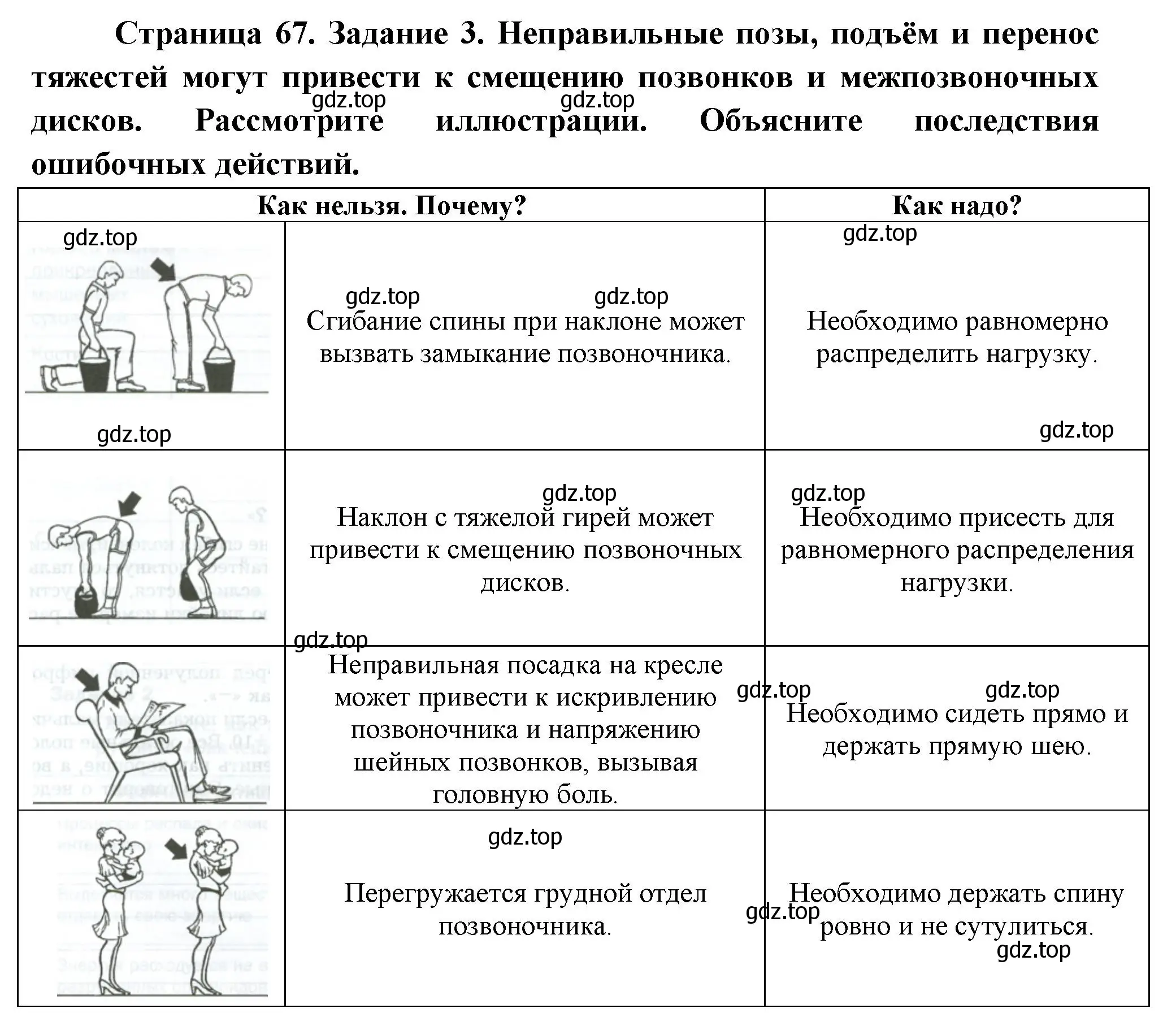 Решение  Задание 3 (страница 67) гдз по биологии 9 класс Драгомилов, Маш, рабочая тетрадь 1 часть