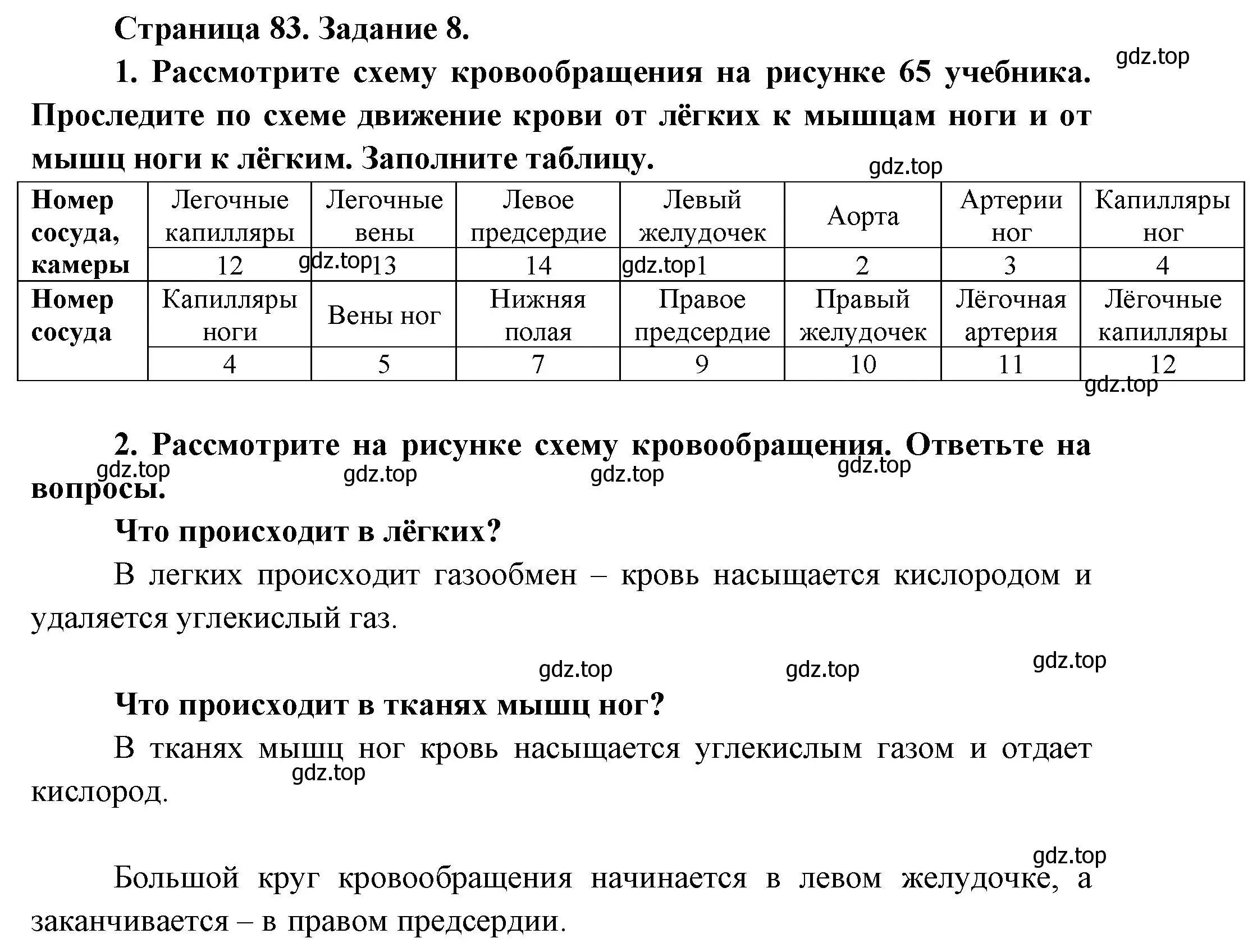 Решение  Задание 8 (страница 83) гдз по биологии 9 класс Драгомилов, Маш, рабочая тетрадь 1 часть