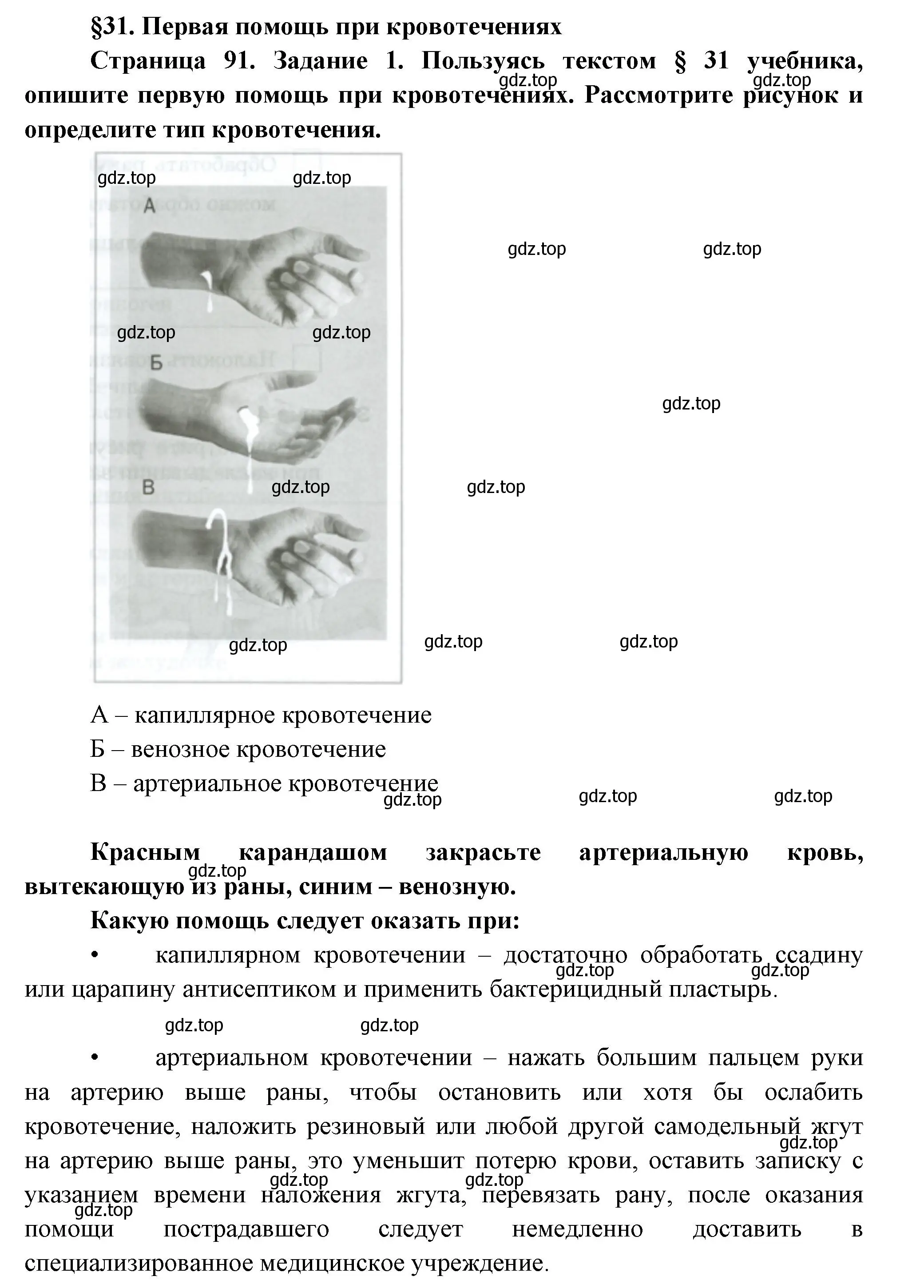 Решение  Задание 1 (страница 91) гдз по биологии 9 класс Драгомилов, Маш, рабочая тетрадь 1 часть