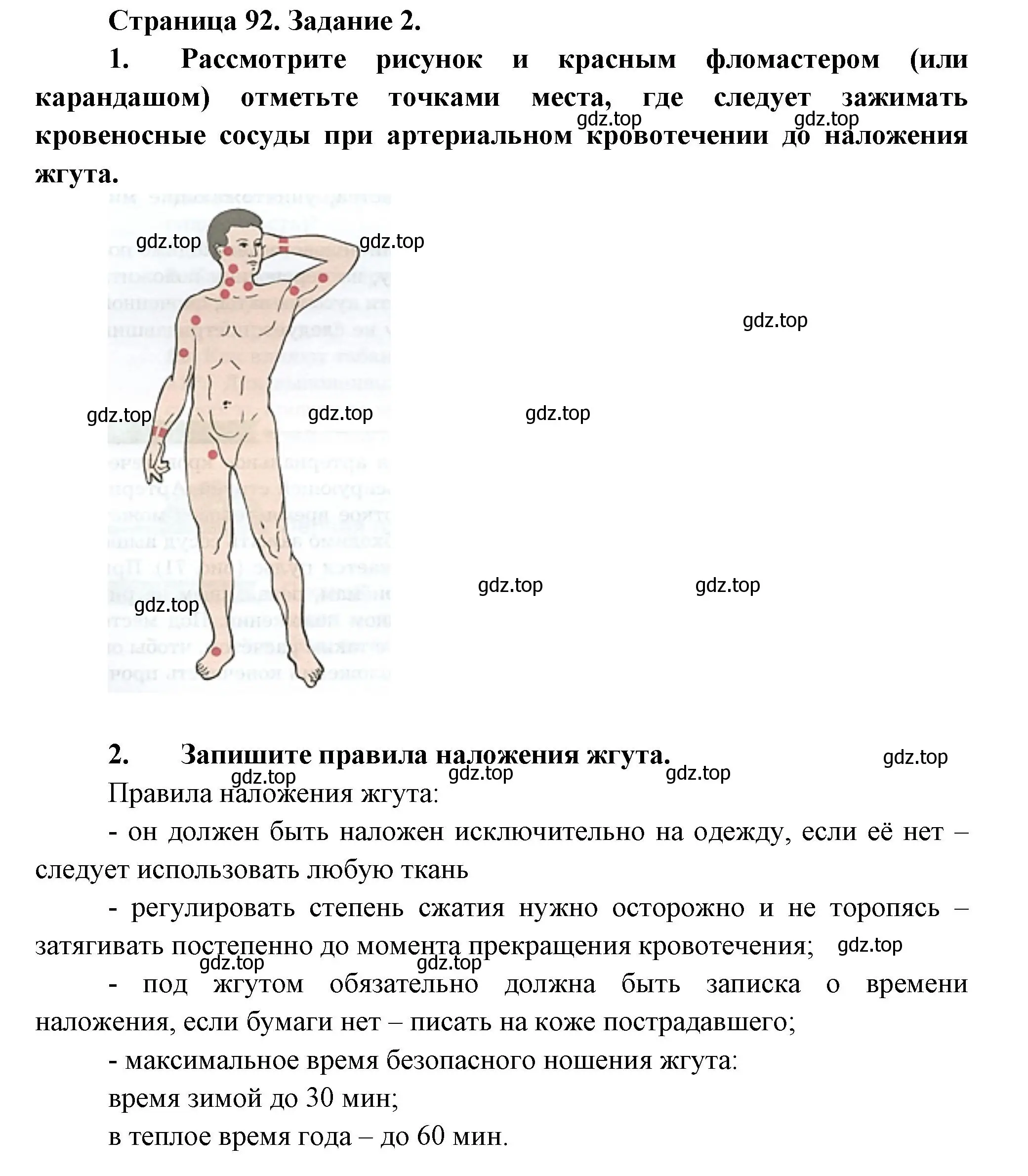 Решение  Задание 2 (страница 92) гдз по биологии 9 класс Драгомилов, Маш, рабочая тетрадь 1 часть