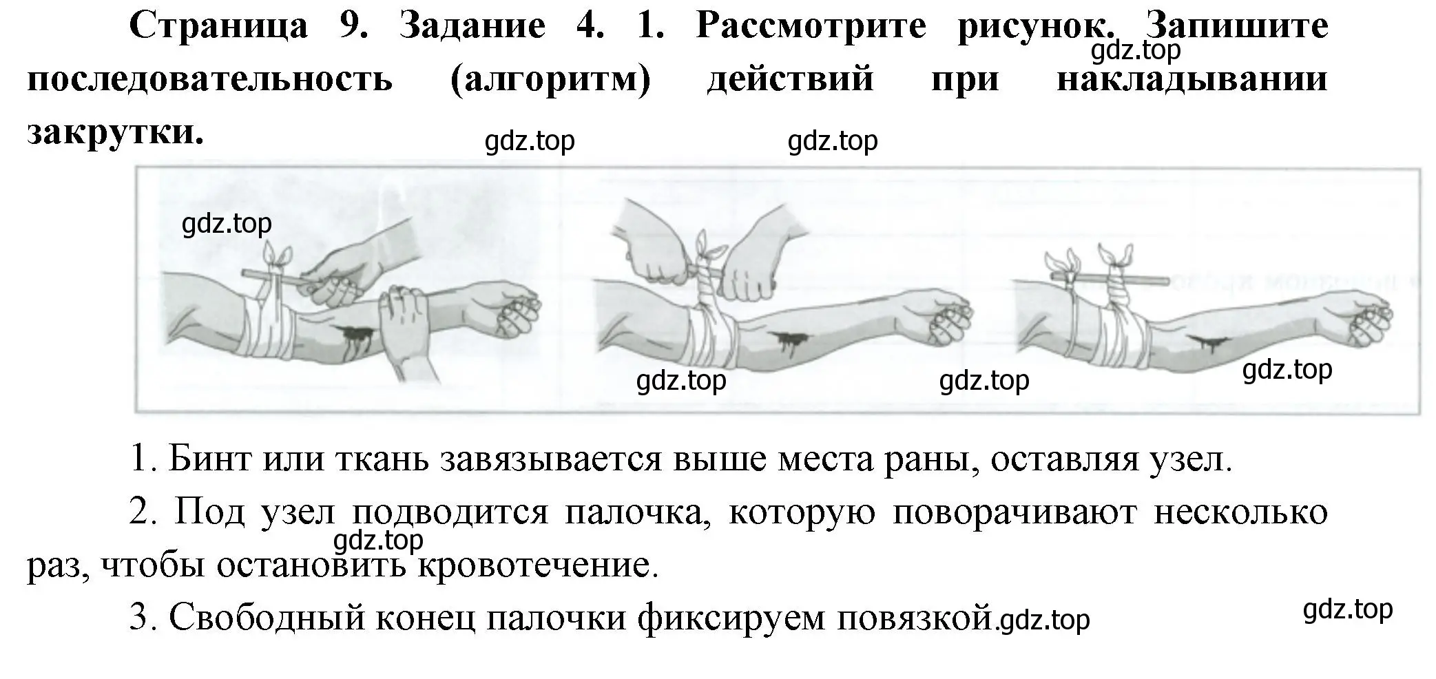 Решение  Задание 4 (страница 92) гдз по биологии 9 класс Драгомилов, Маш, рабочая тетрадь 1 часть