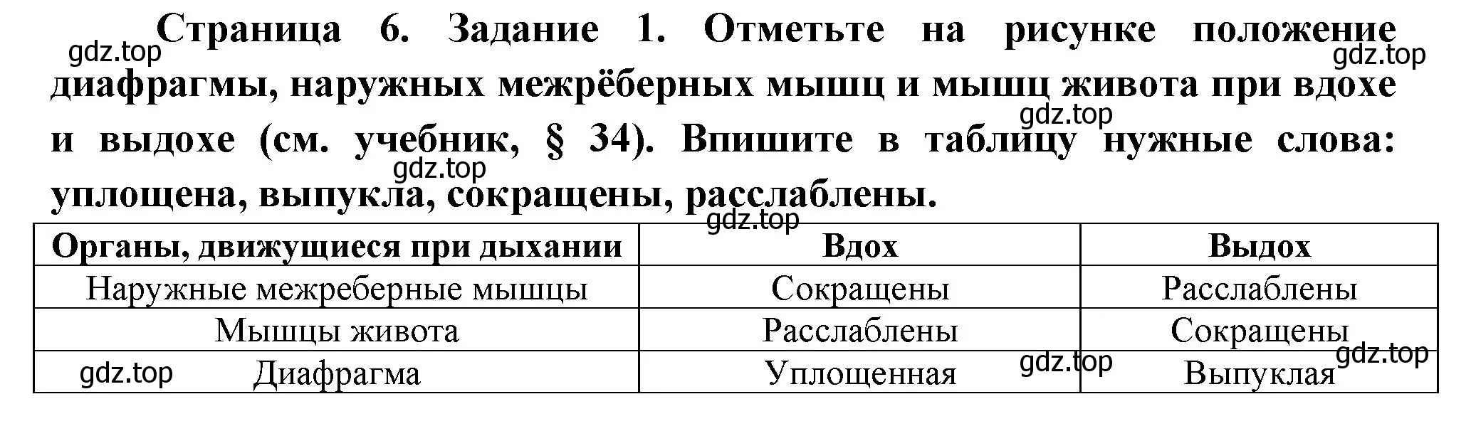 Решение  Задание 1 (страница 6) гдз по биологии 9 класс Драгомилов, Маш, рабочая тетрадь 2 часть