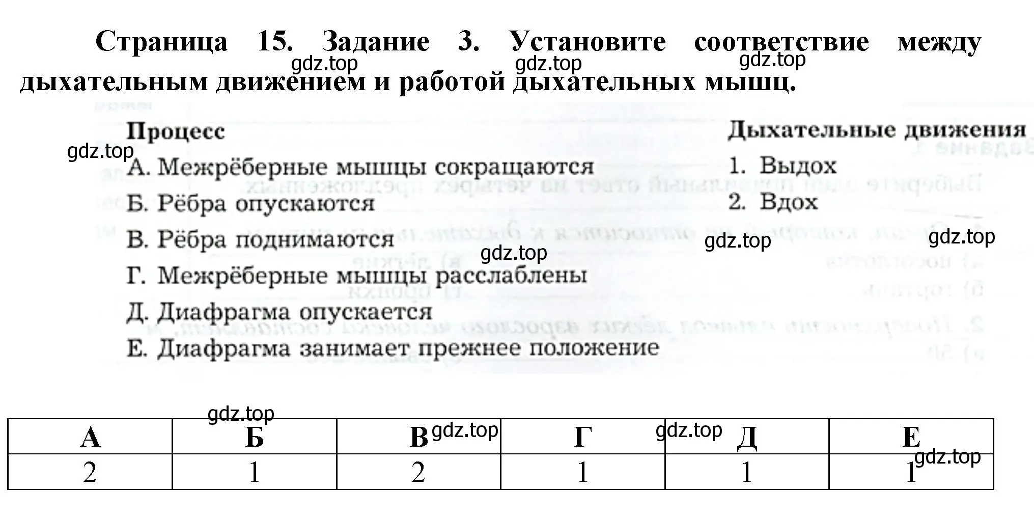 Решение  Задание 3 (страница 16) гдз по биологии 9 класс Драгомилов, Маш, рабочая тетрадь 2 часть