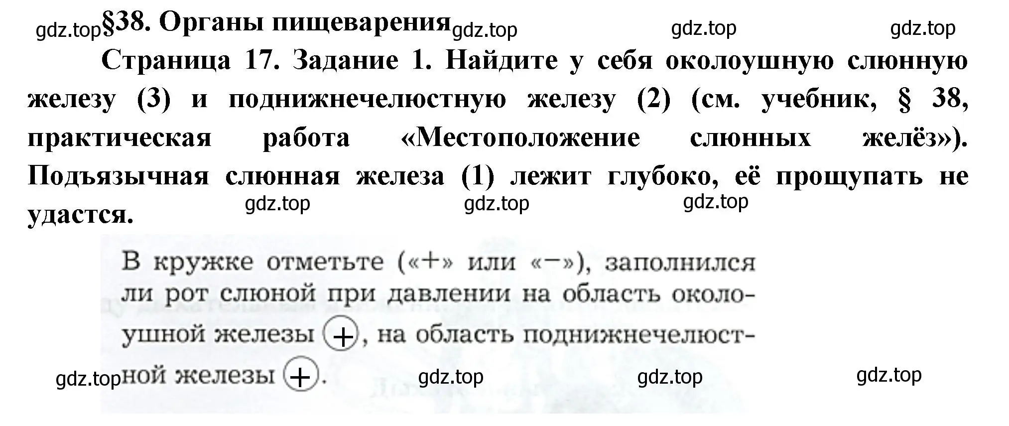 Решение  Задание 1 (страница 17) гдз по биологии 9 класс Драгомилов, Маш, рабочая тетрадь 2 часть