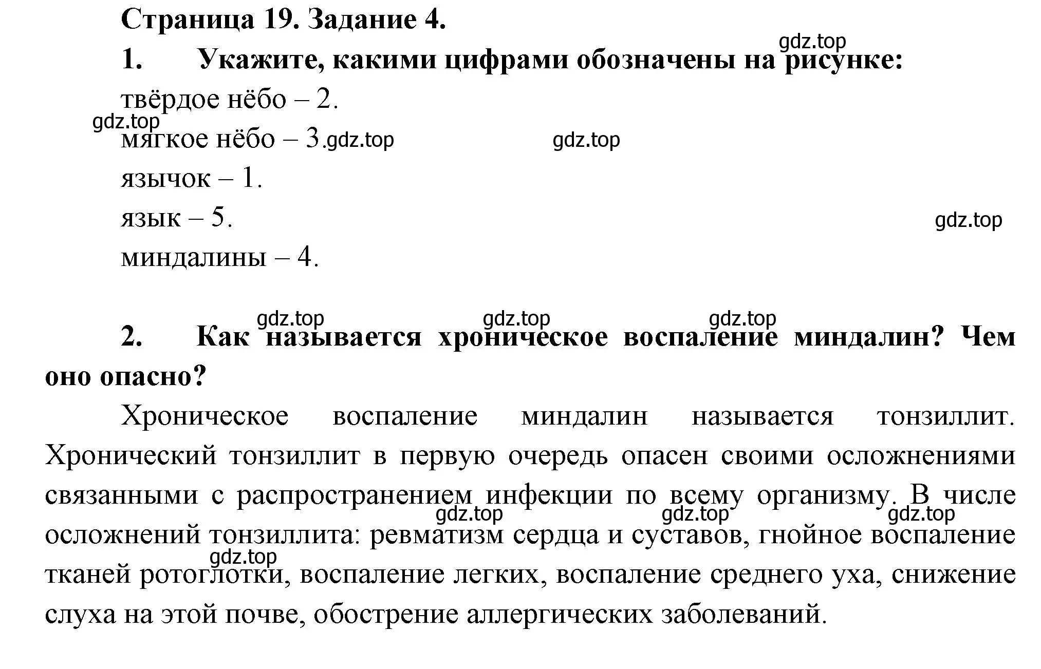 Решение  Задание 4 (страница 19) гдз по биологии 9 класс Драгомилов, Маш, рабочая тетрадь 2 часть