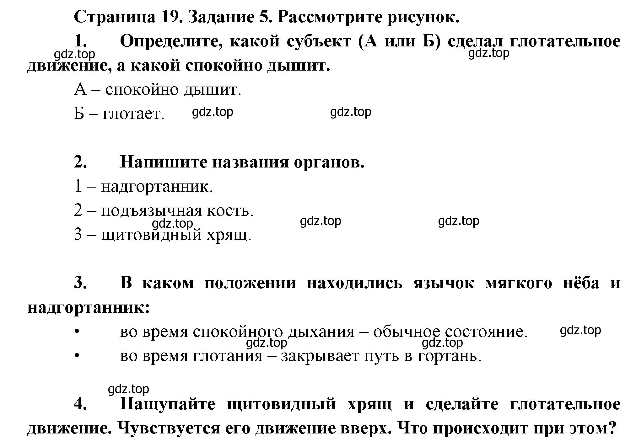 Решение  Задание 5 (страница 19) гдз по биологии 9 класс Драгомилов, Маш, рабочая тетрадь 2 часть