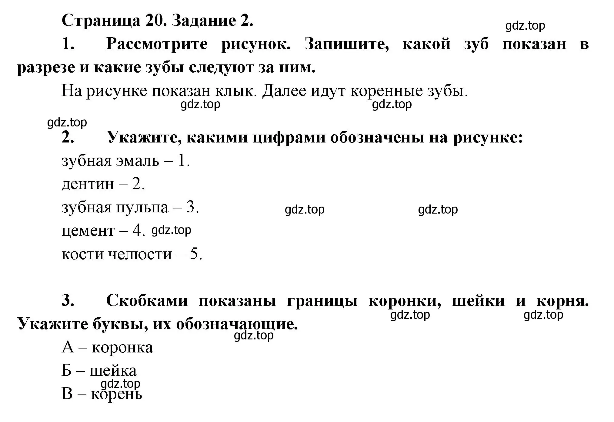 Решение  Задание 2 (страница 20) гдз по биологии 9 класс Драгомилов, Маш, рабочая тетрадь 2 часть