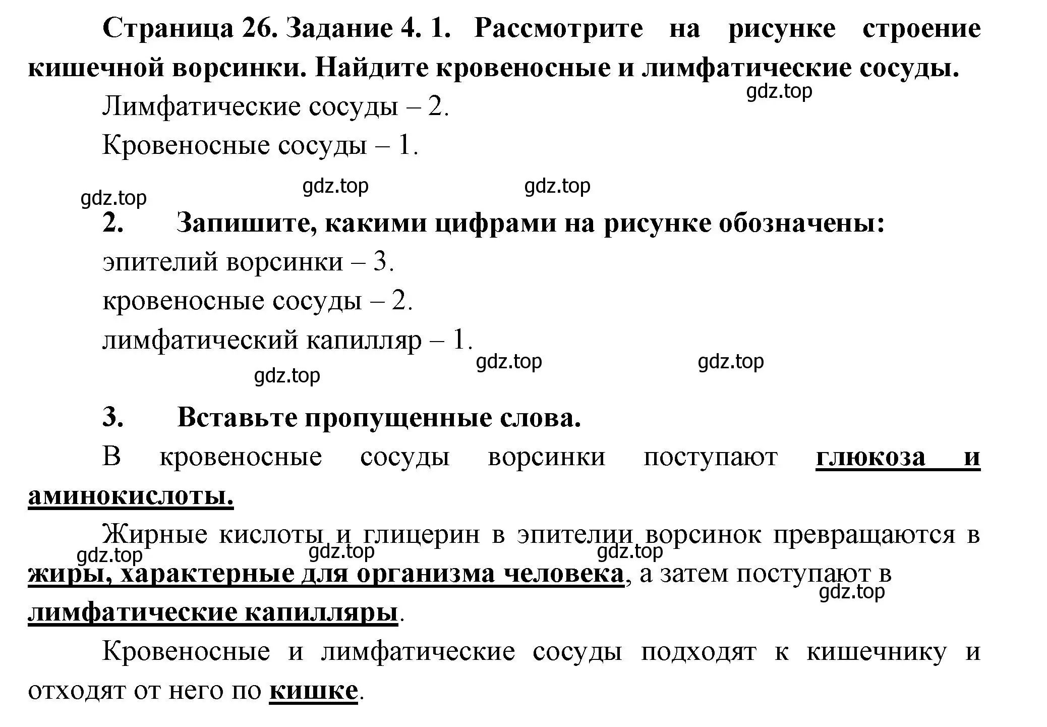 Решение  Задание 4 (страница 26) гдз по биологии 9 класс Драгомилов, Маш, рабочая тетрадь 2 часть